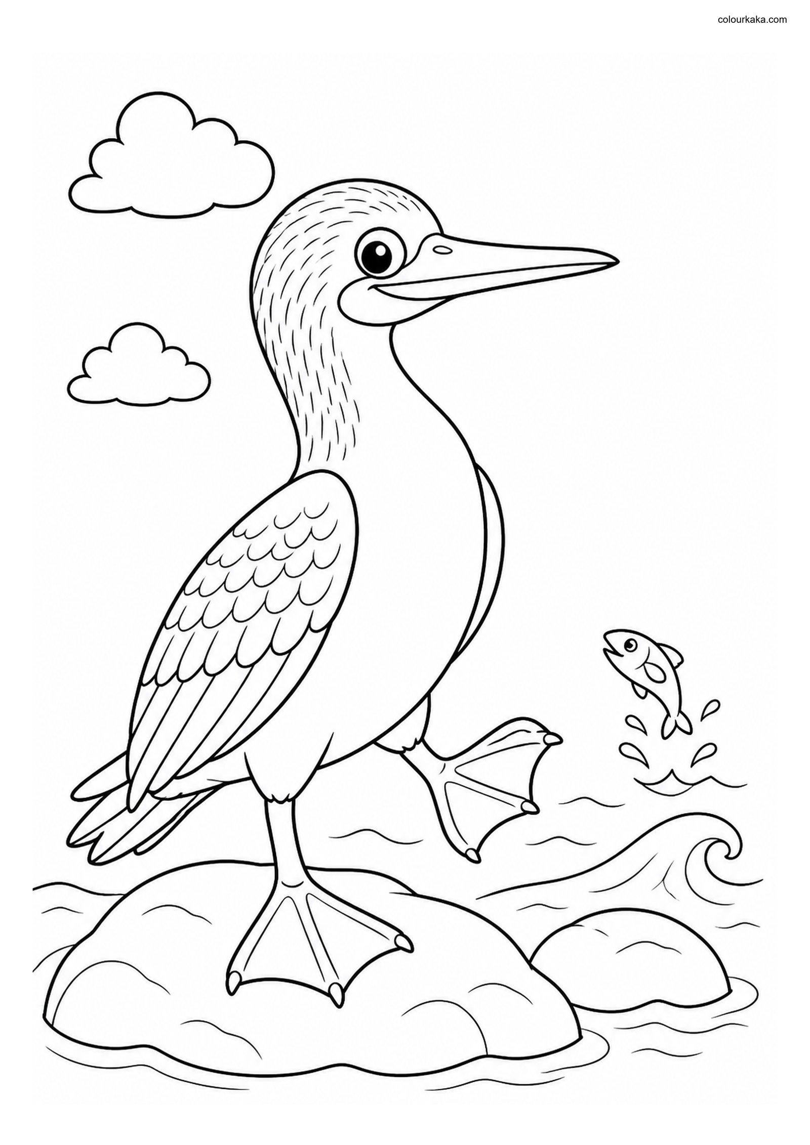 Blue-Footed Booby Coloring Sheet colouring page preview
