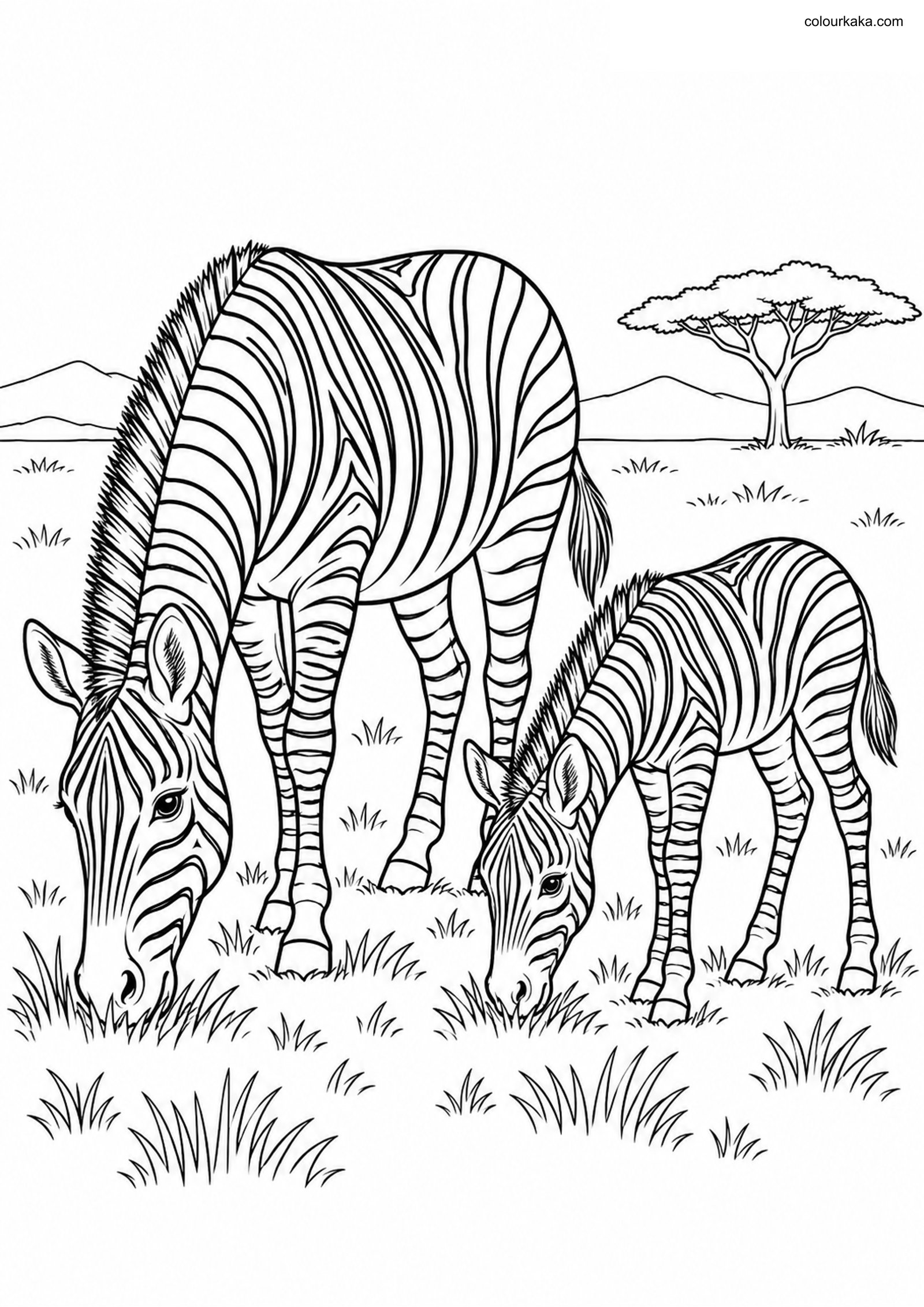 Zebra Foal Colouring colouring page preview