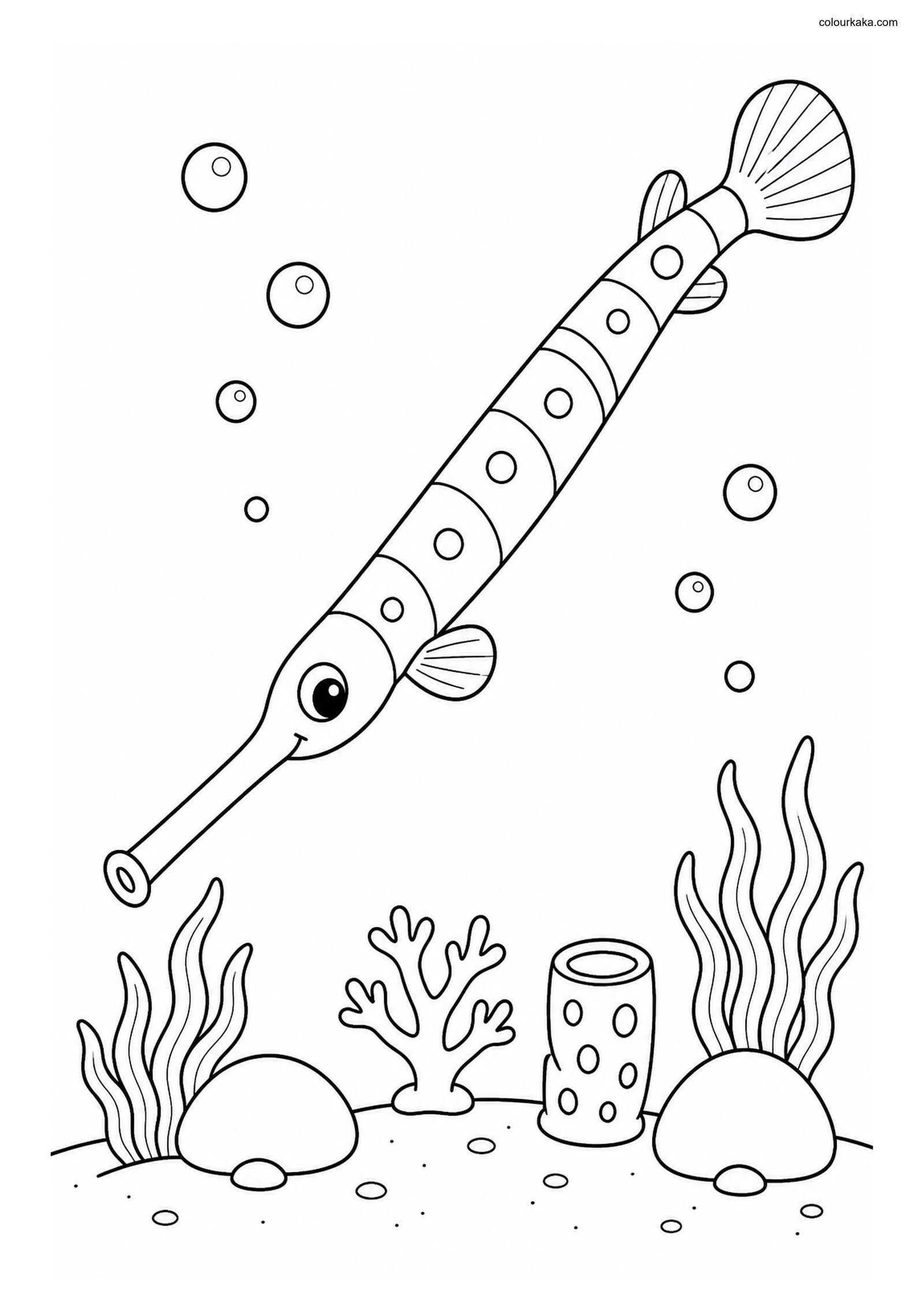 Trumpetfish Colouring Page colouring page preview