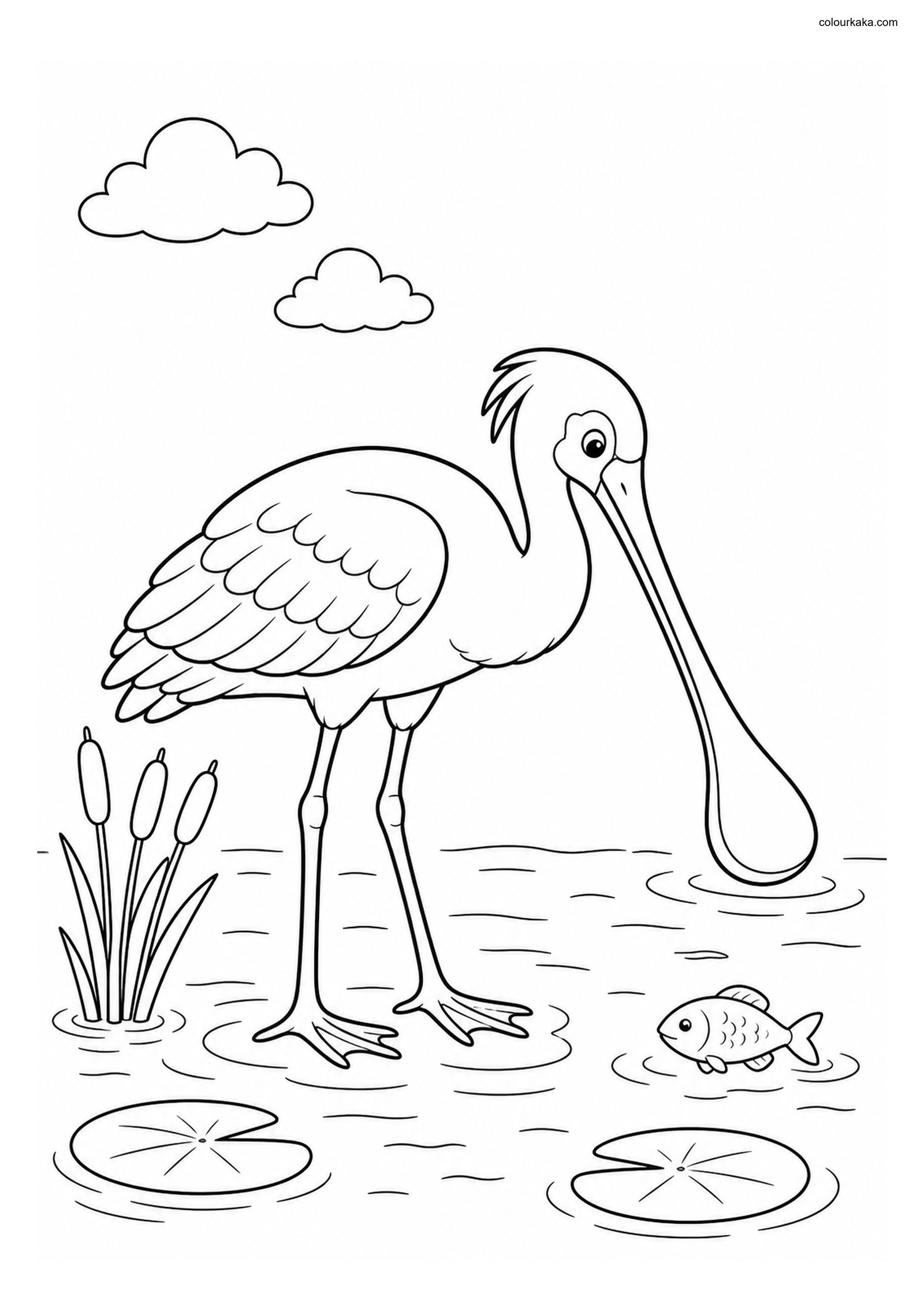 Printable Spoonbill Bird Activity Page colouring page preview