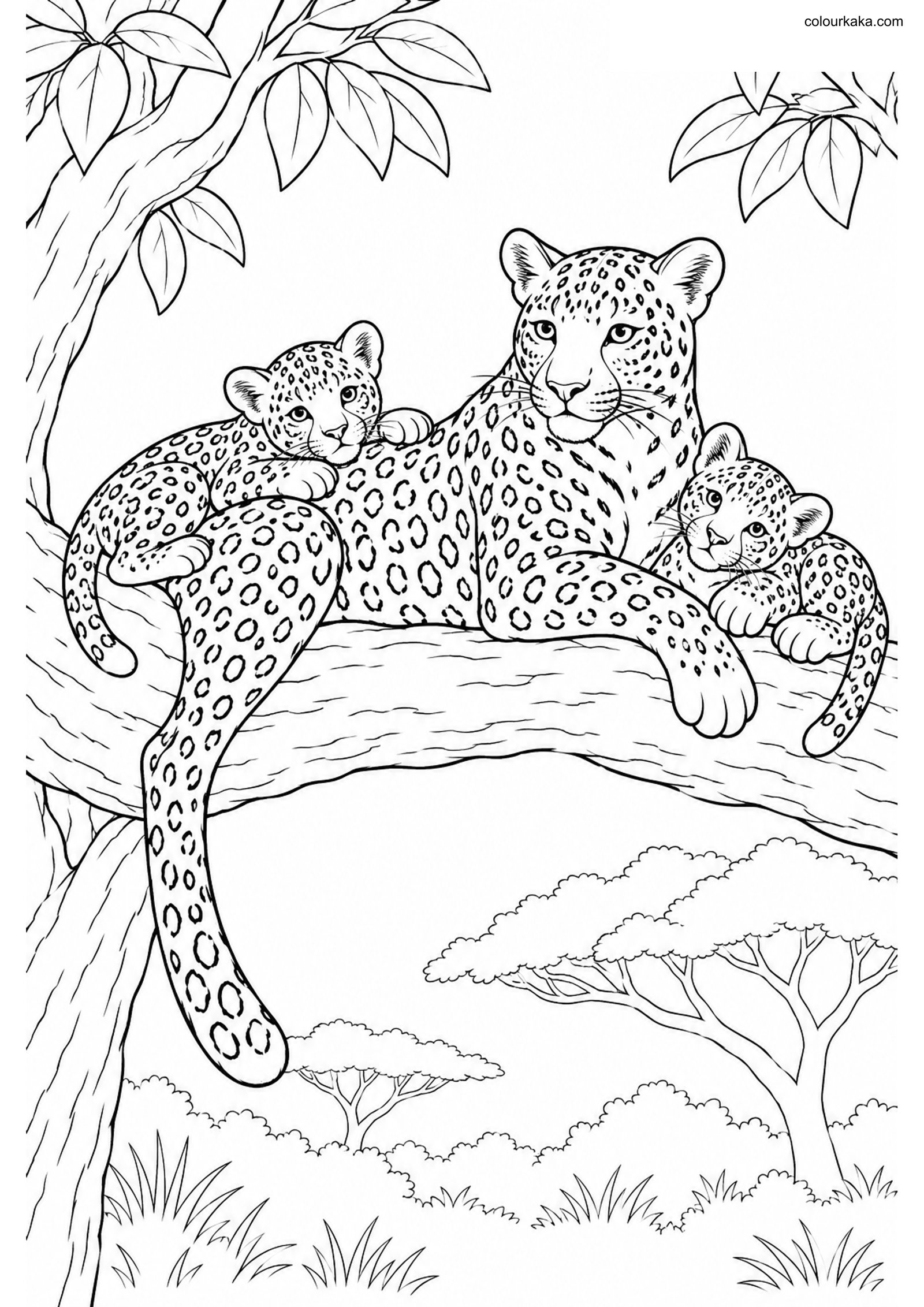 Leopard Family Colouring colouring page preview