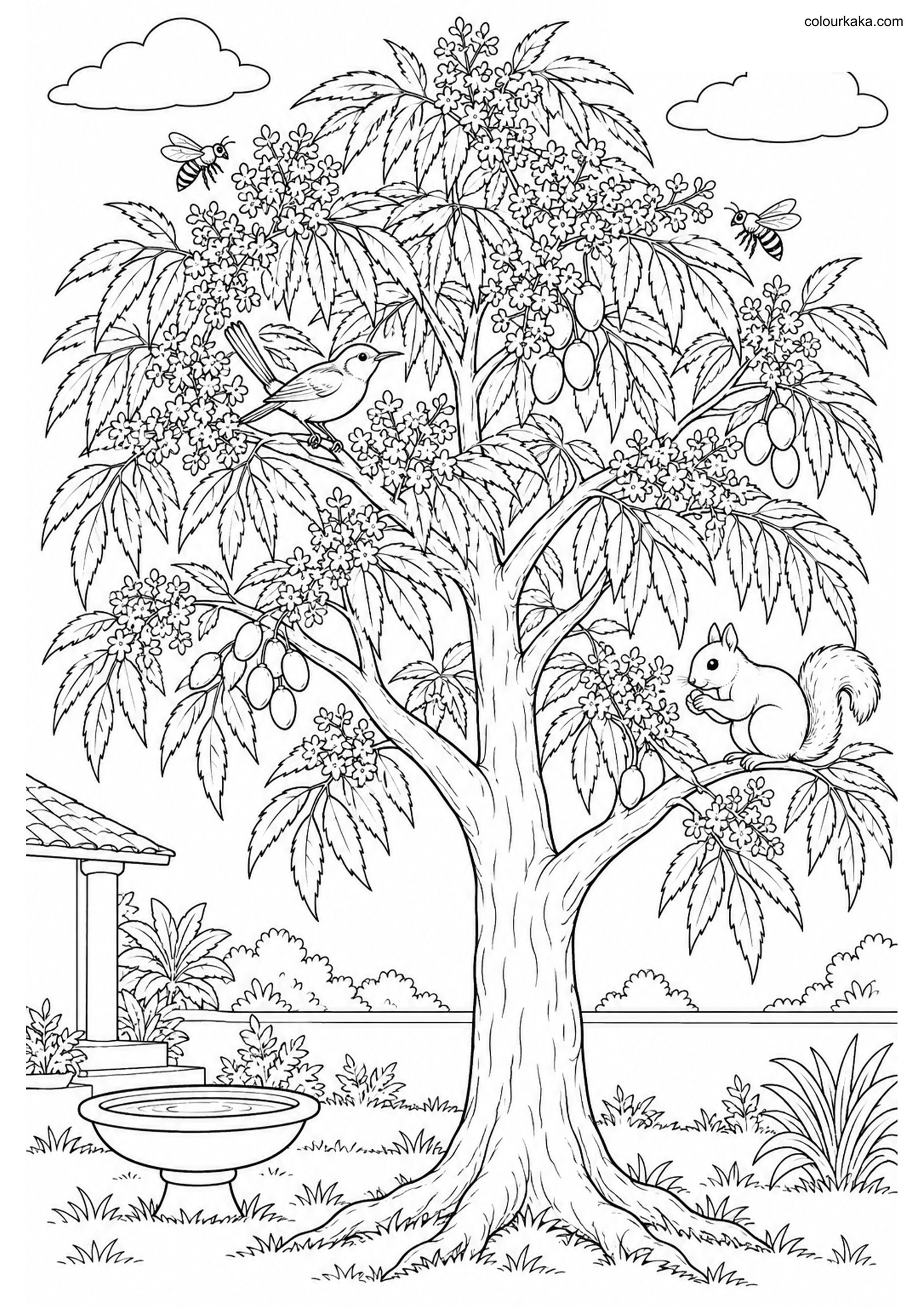 Neem Tree Colouring Page colouring page preview