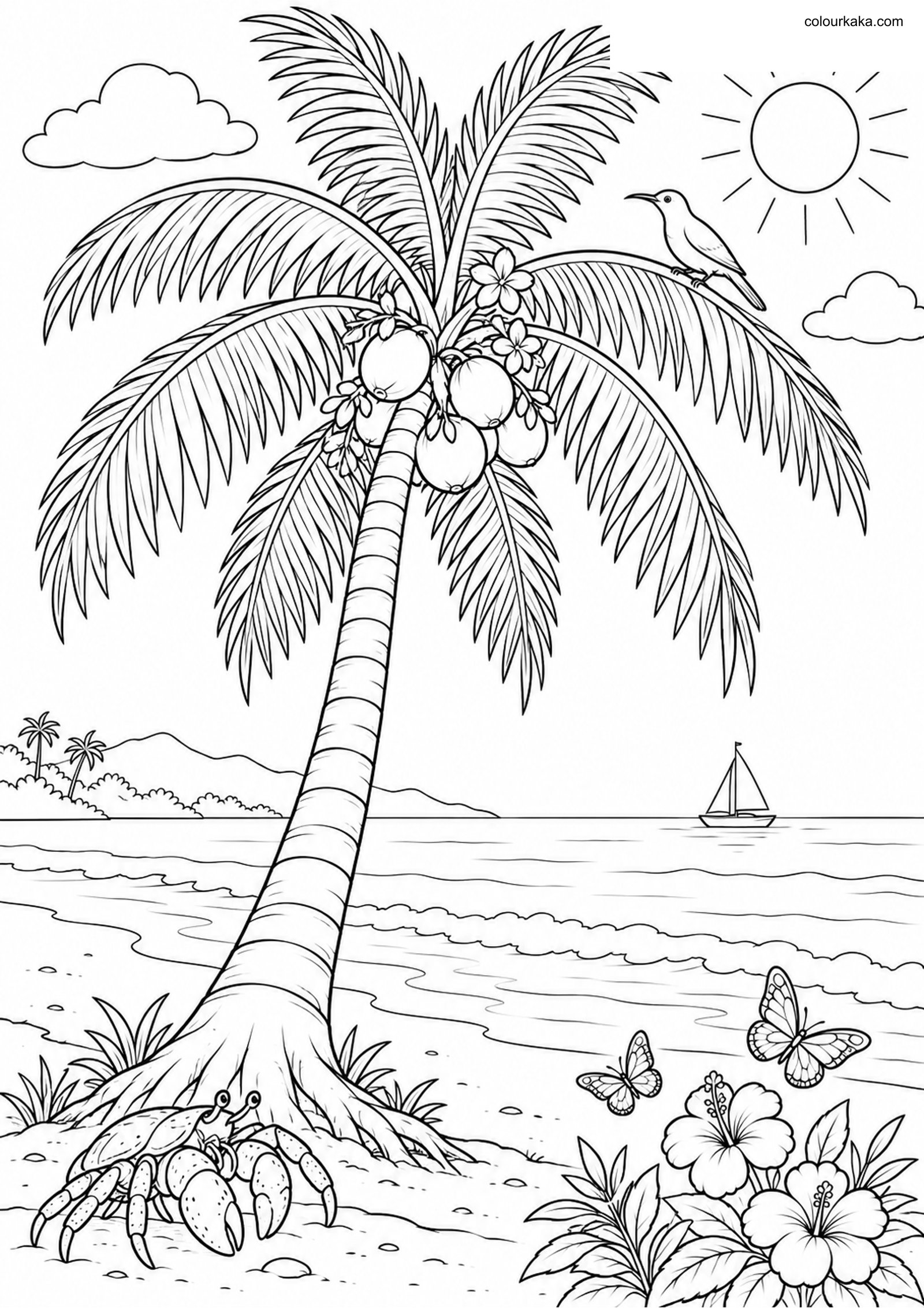 Coconut Palm Colouring Page colouring page preview