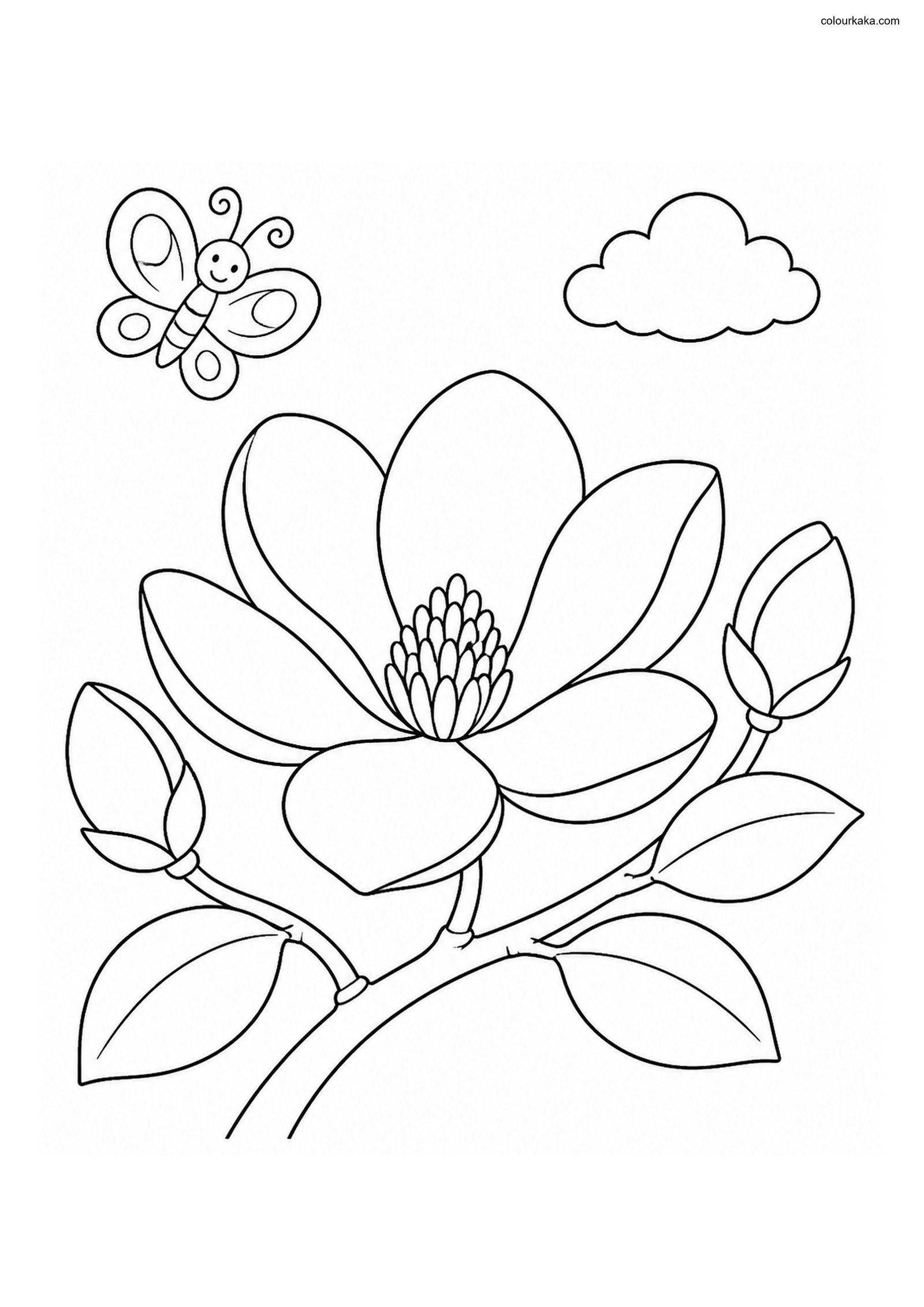 Magnolia Blossom Colouring colouring page preview