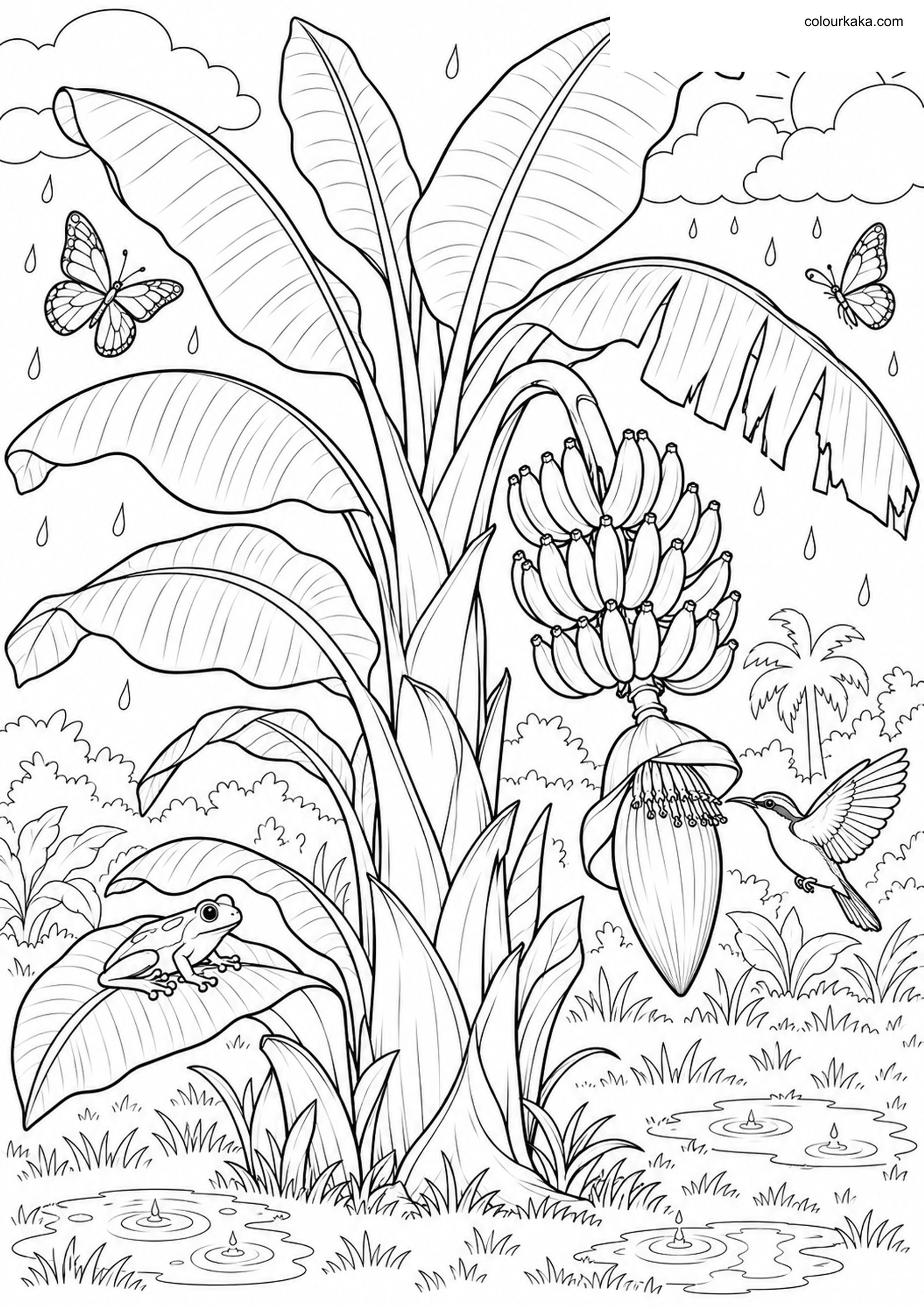 Banana Plant Colouring Page colouring page preview