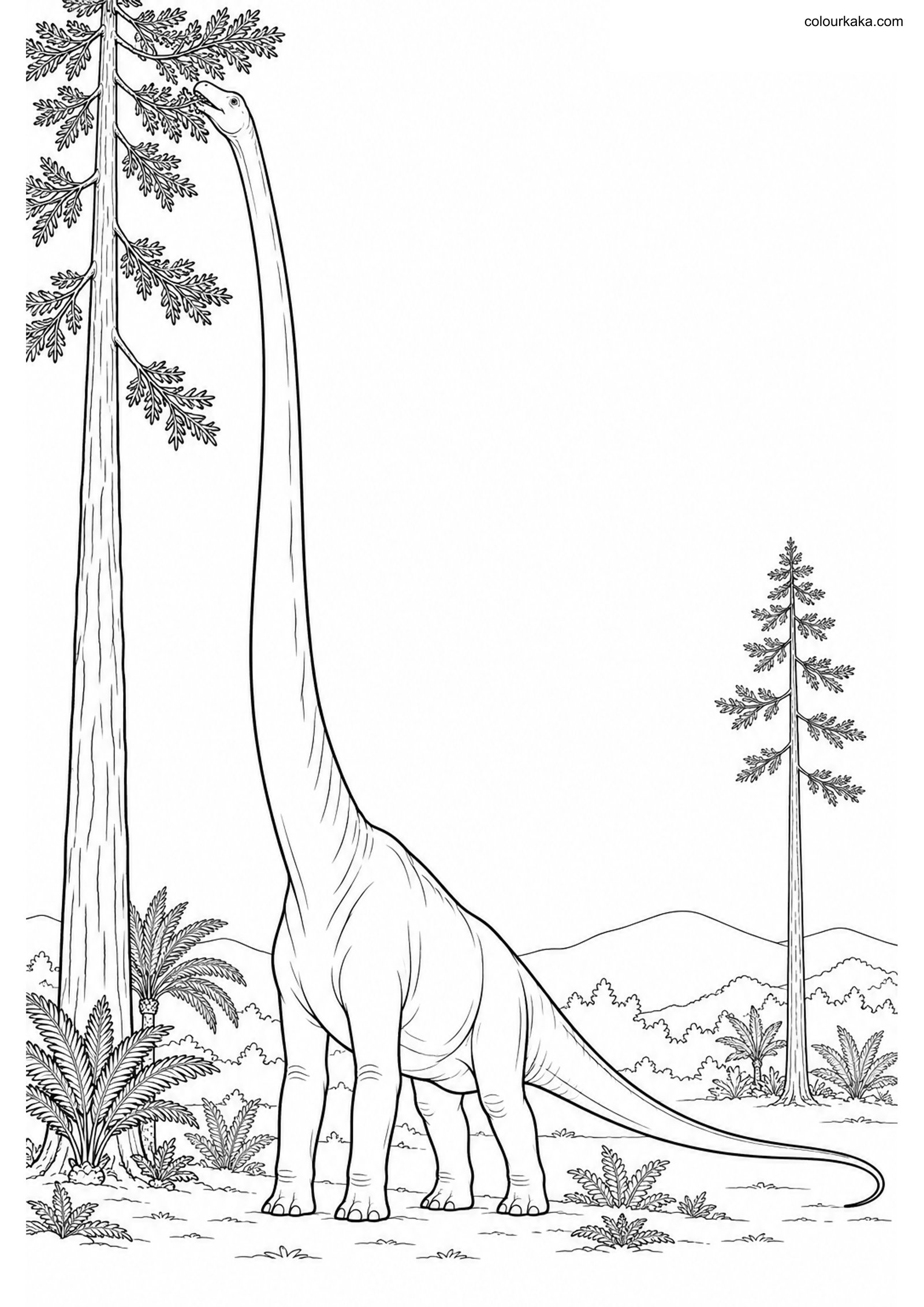 Mamenchisaurus Colouring colouring page preview