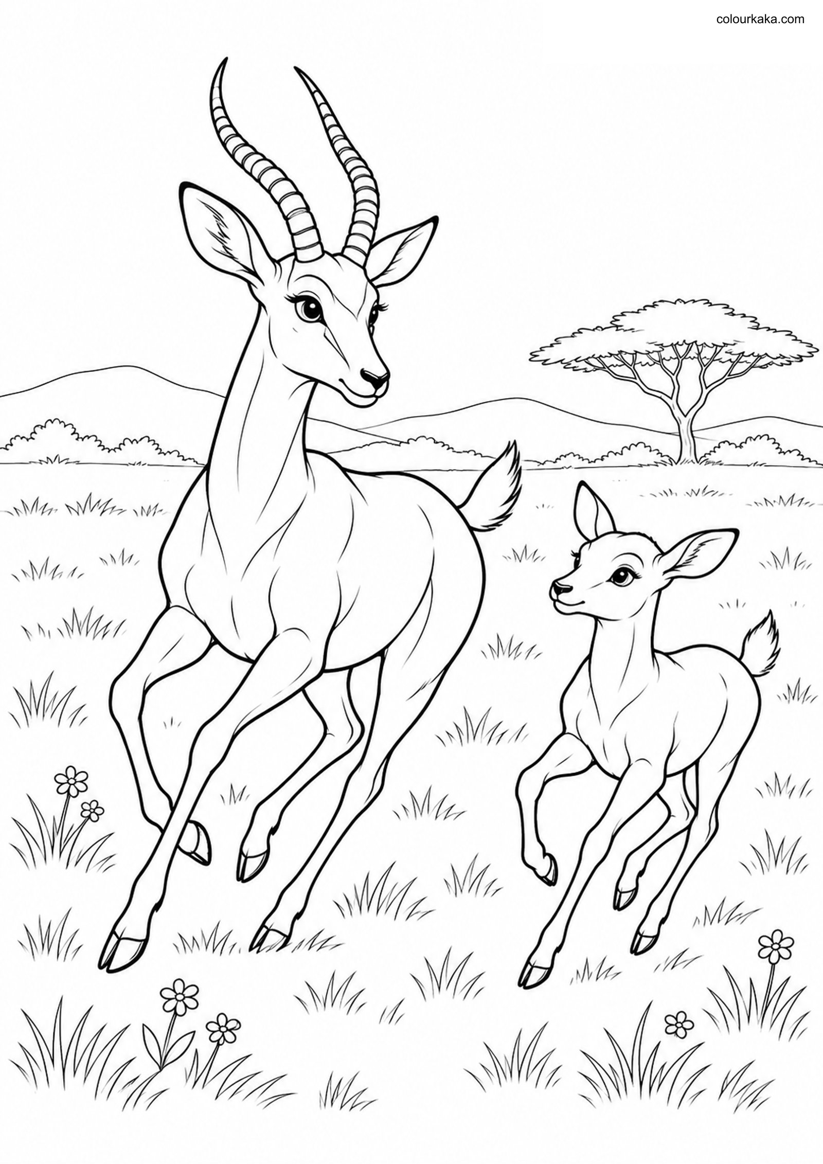Antelope Fawn Colouring colouring page preview