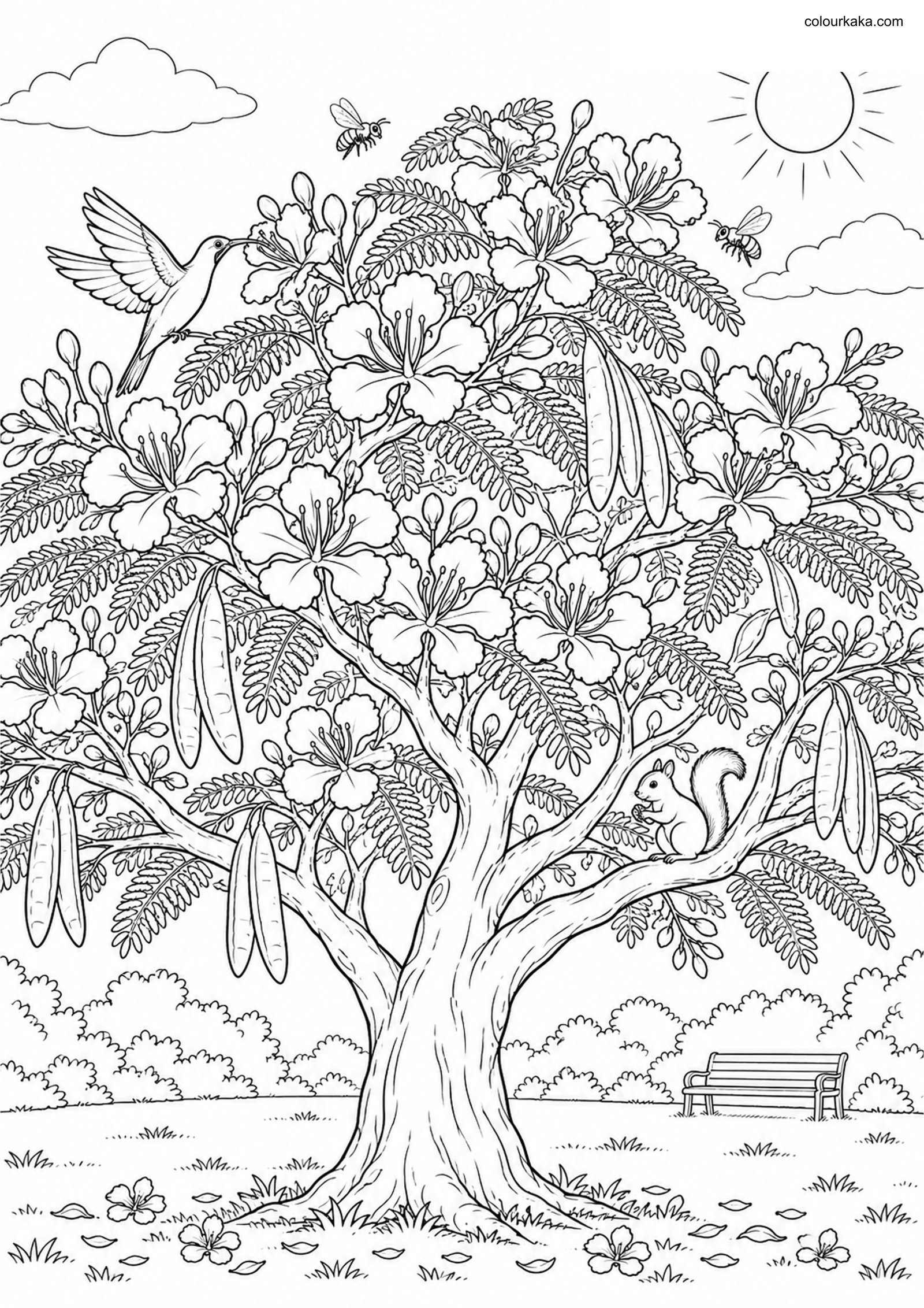 Gulmohar Tree Colouring Page colouring page preview
