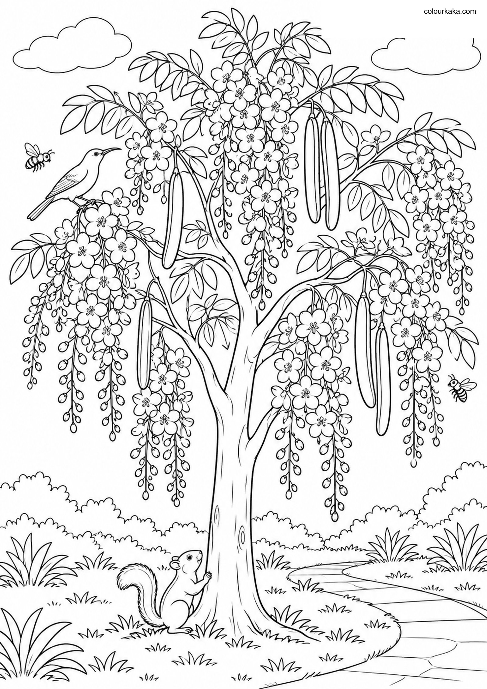Golden Shower Tree Colouring colouring page preview