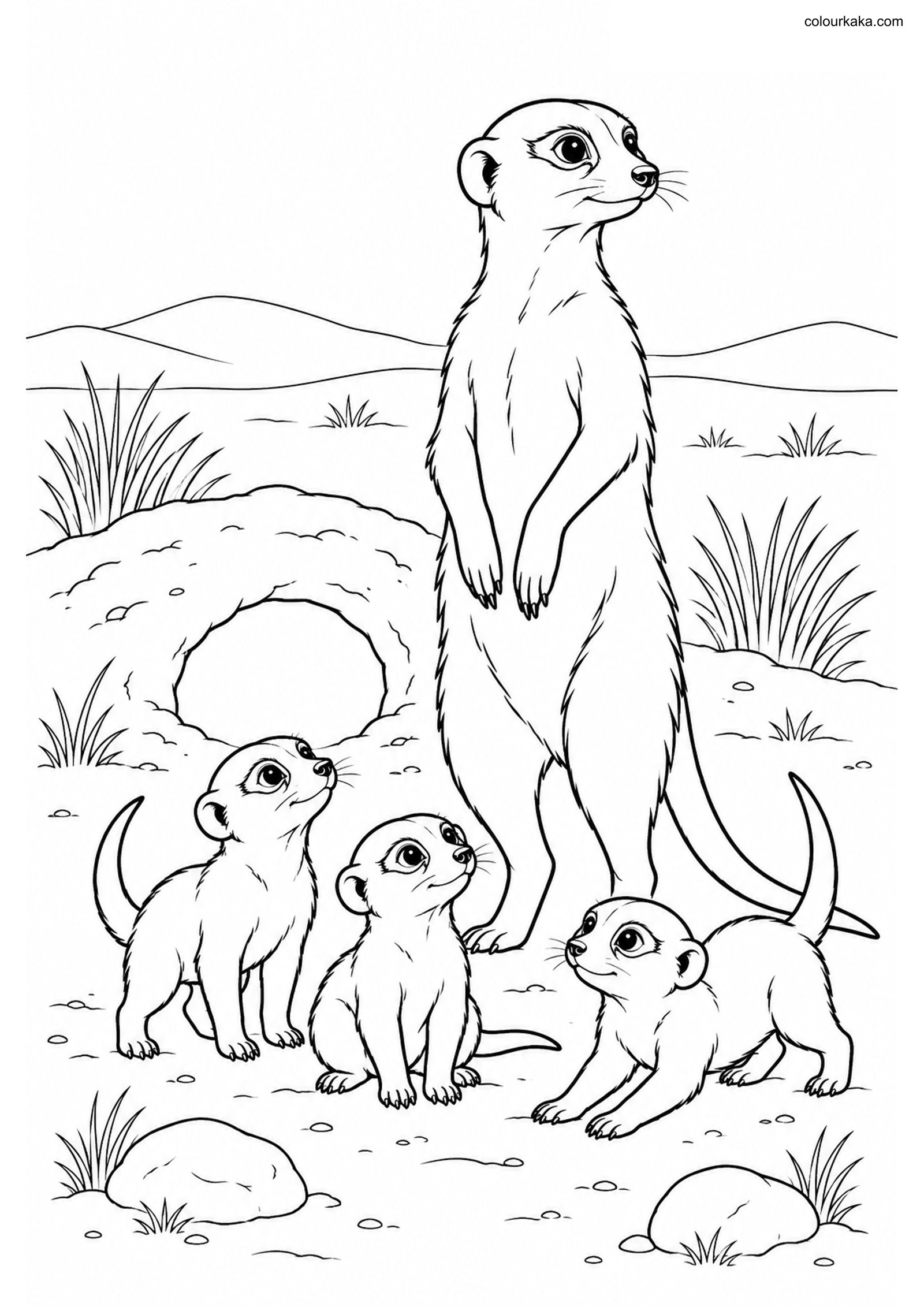 Meerkat Pups Colouring colouring page preview