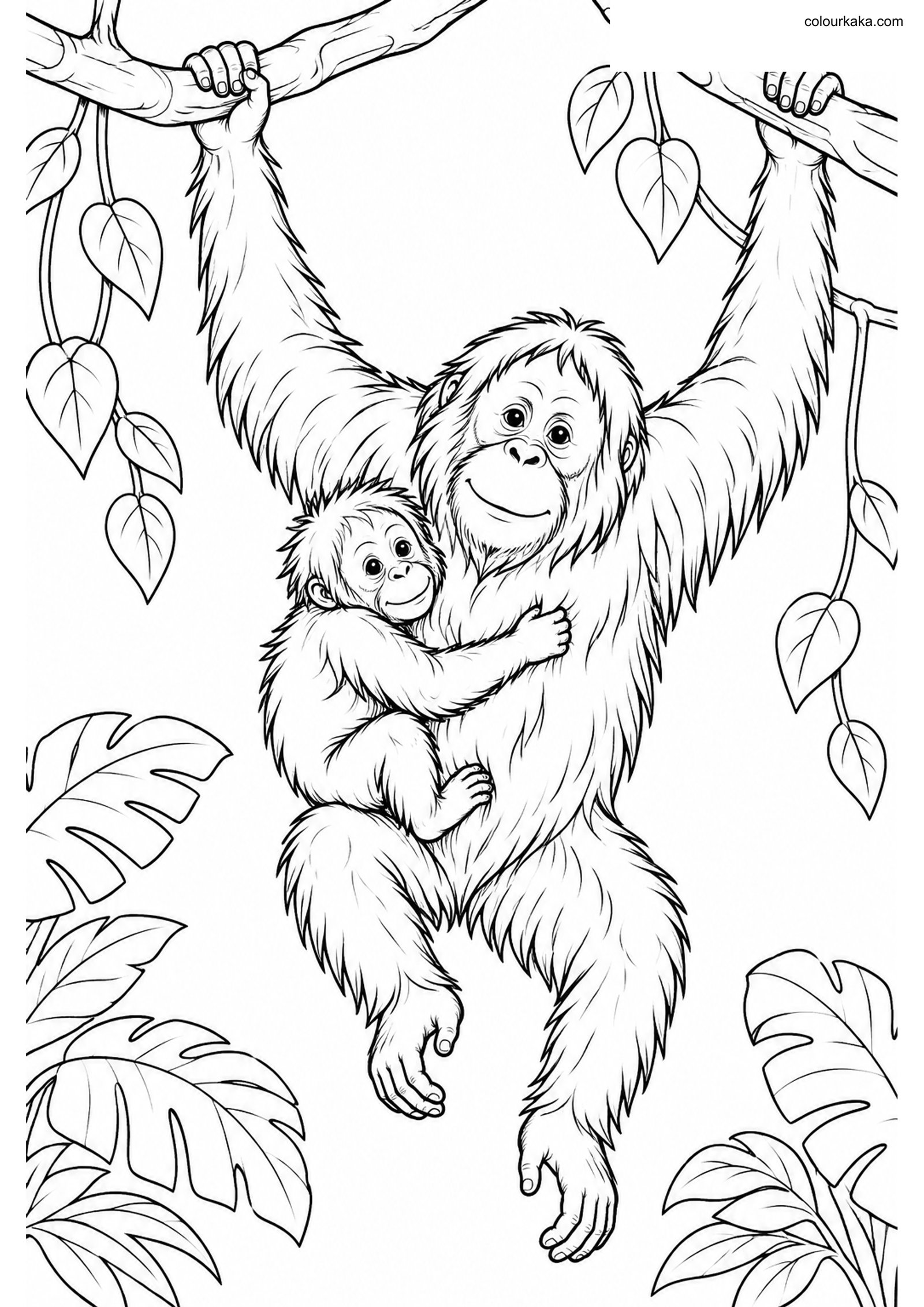 Orangutan Baby Colouring colouring page preview
