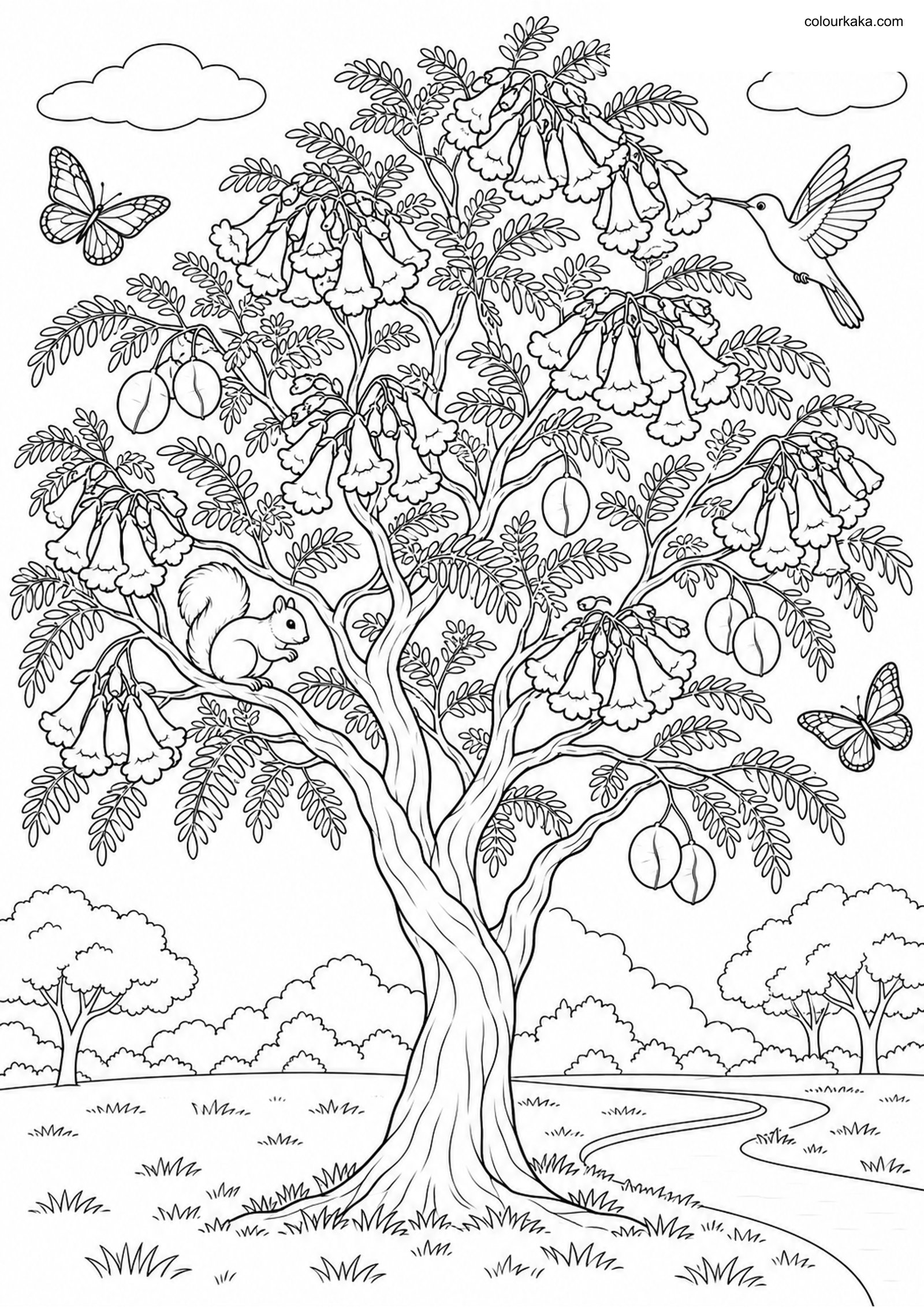 Jacaranda Tree Colouring Page colouring page preview