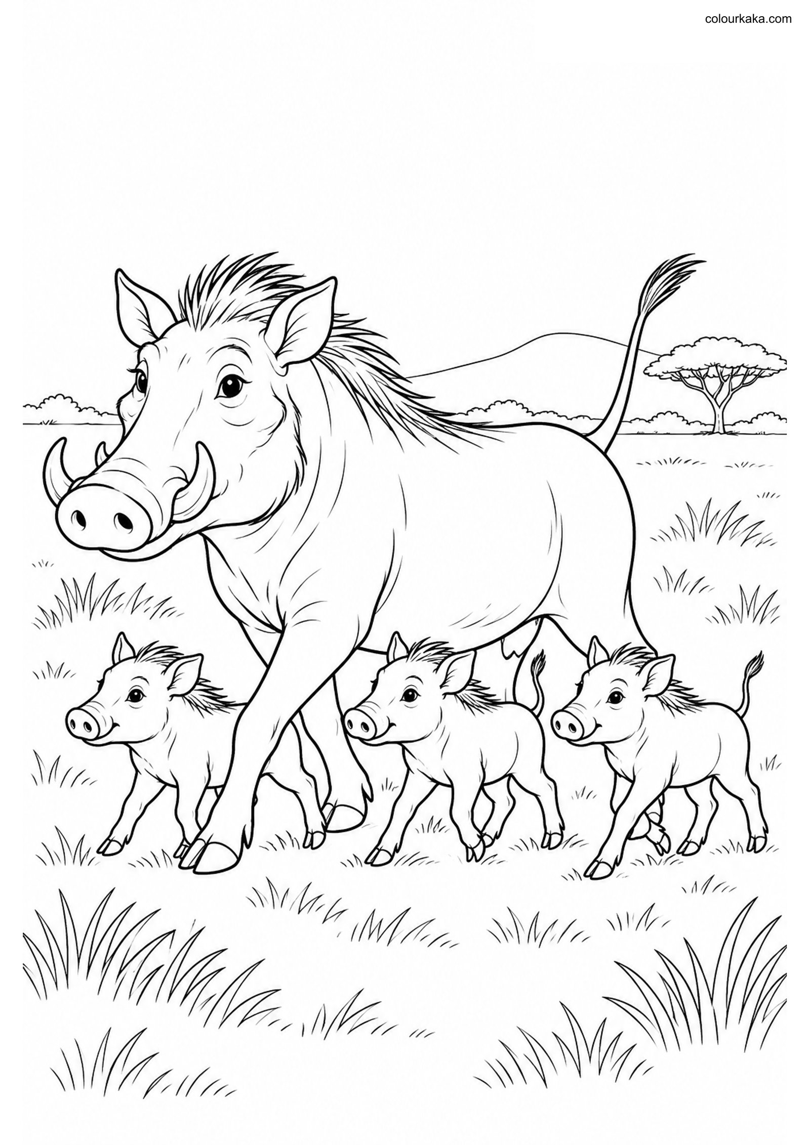 Warthog Piglets Colouring colouring page preview