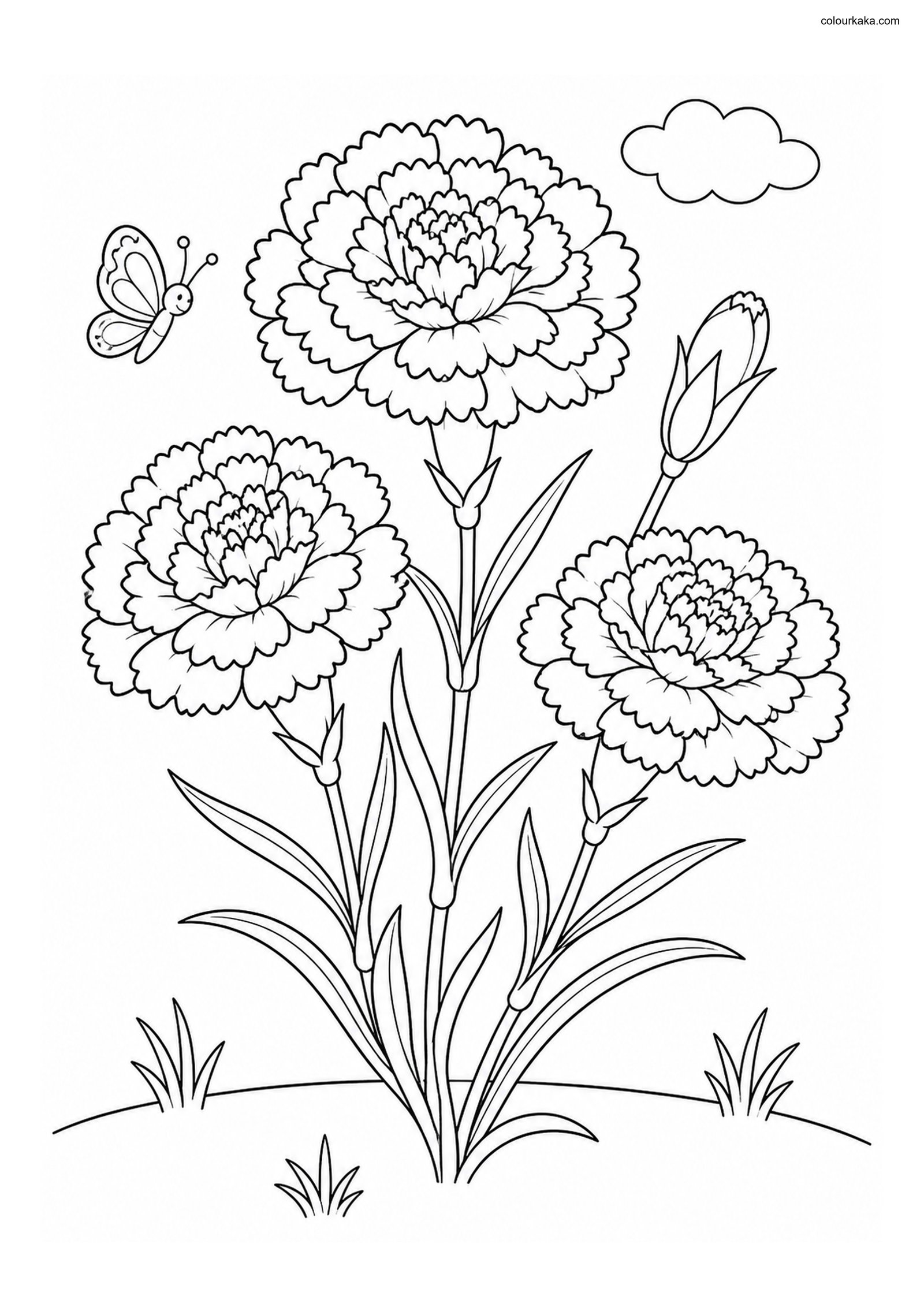 Carnation Flower Colouring Page colouring page preview