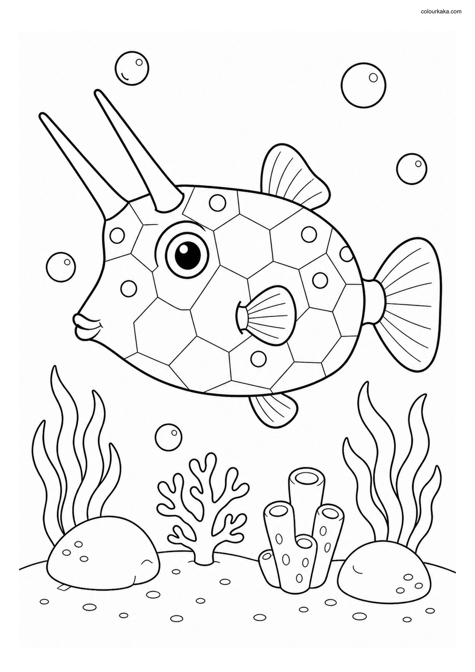 Longhorn Cowfish Colouring Page colouring page preview