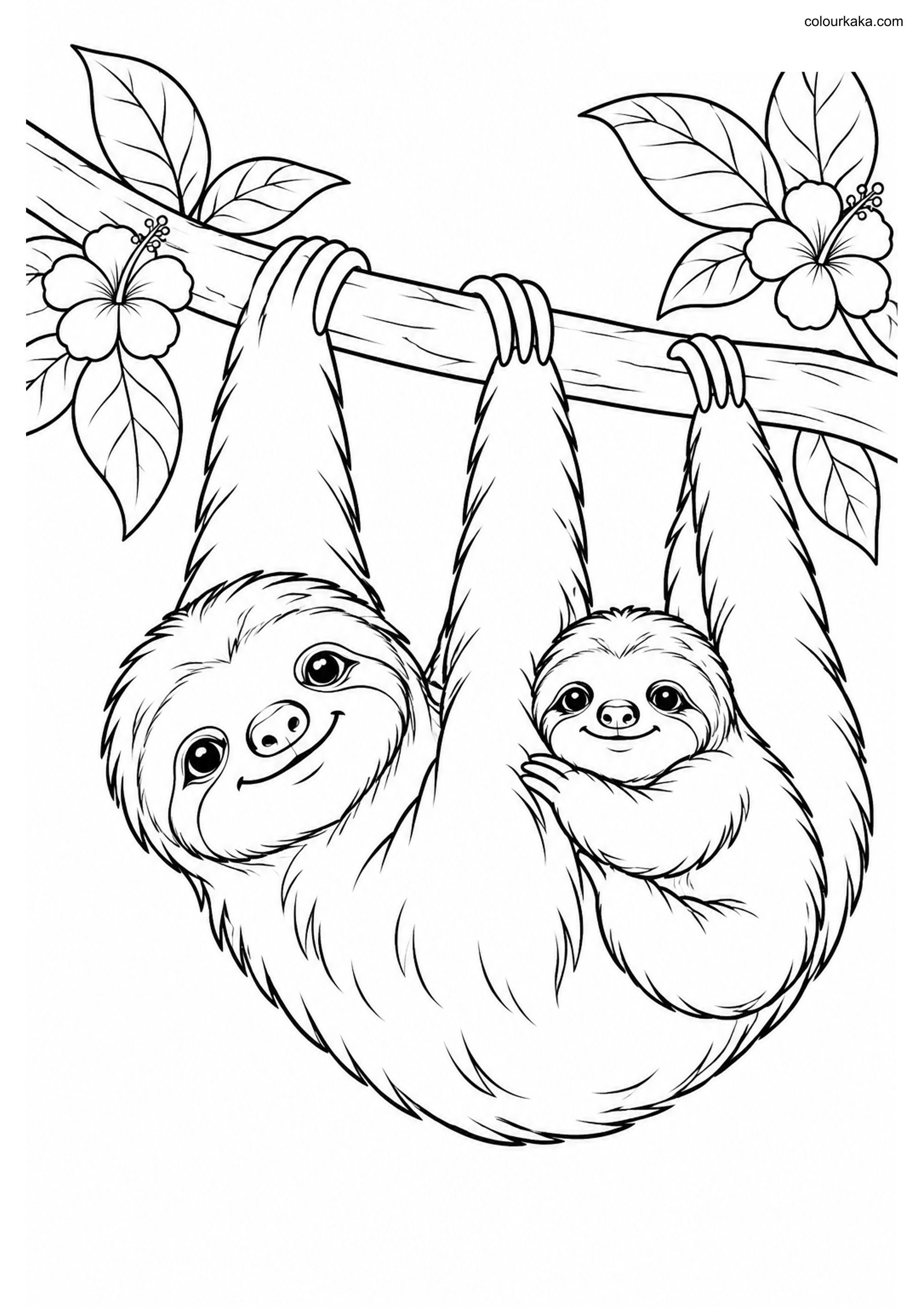 Sloth Family Colouring colouring page preview