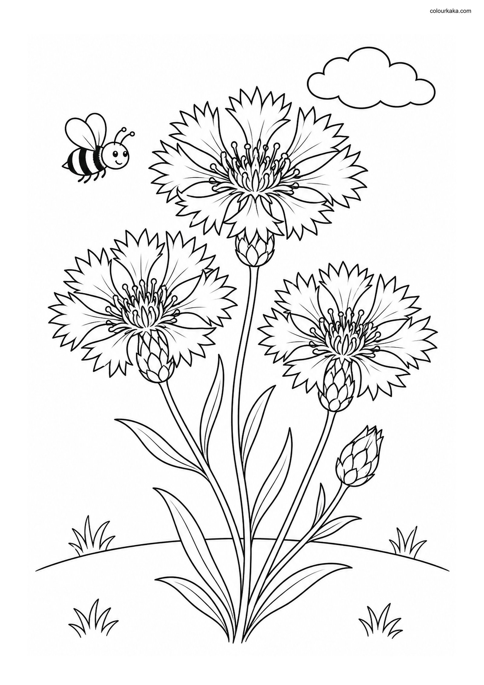 Bachelor's Button Colouring colouring page preview