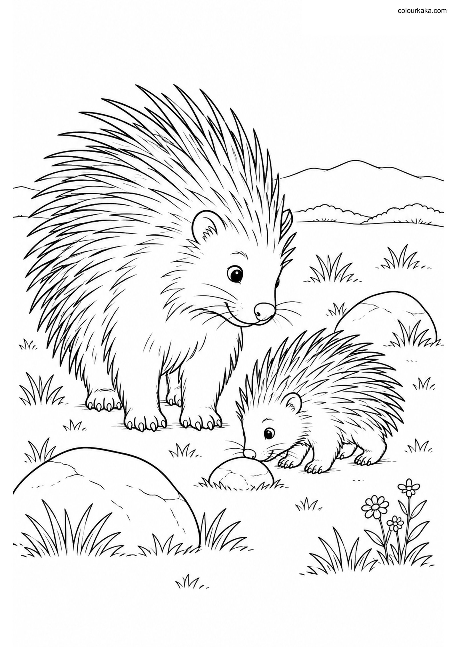 Porcupine Baby Colouring colouring page preview