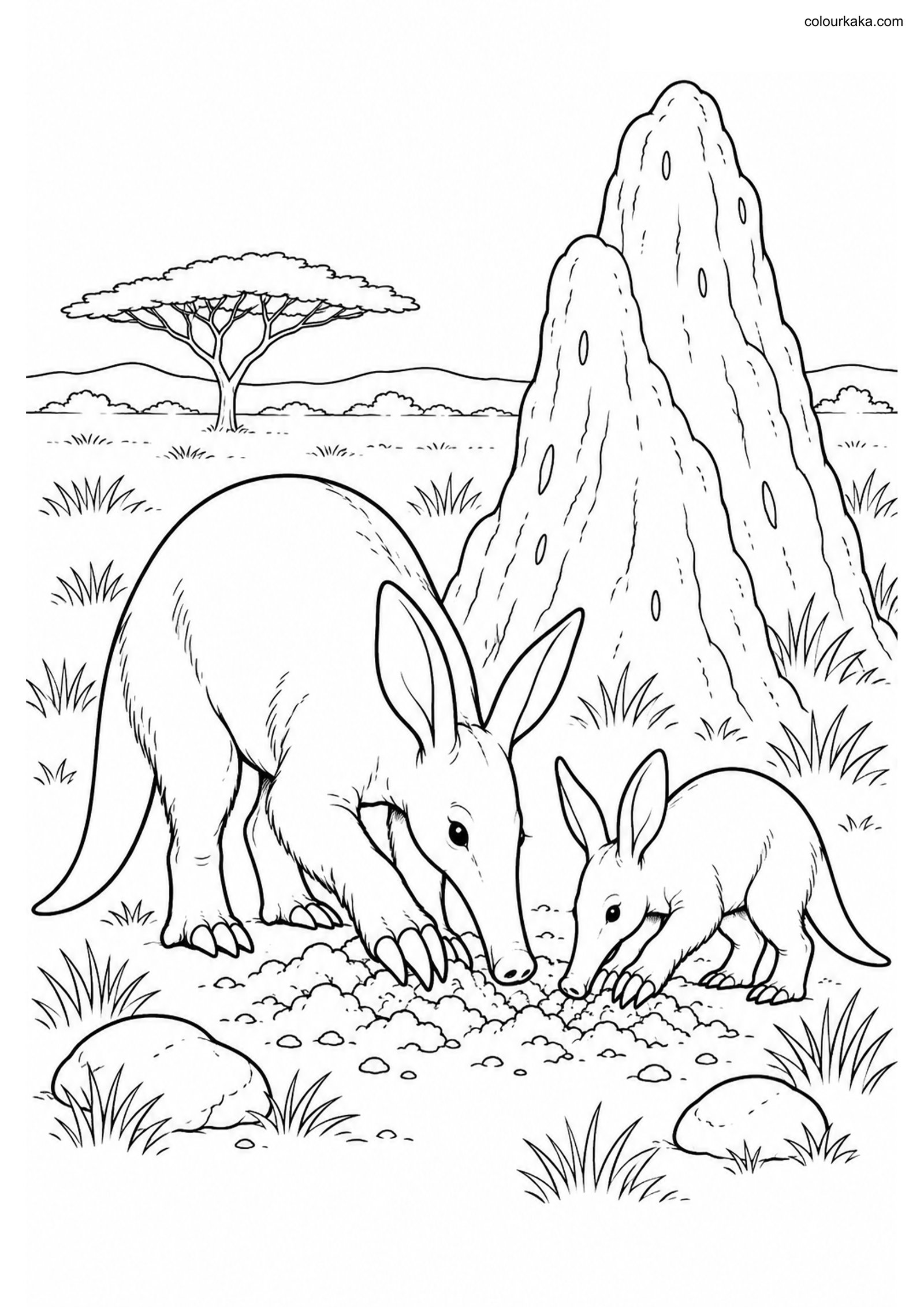Aardvark Baby Colouring colouring page preview