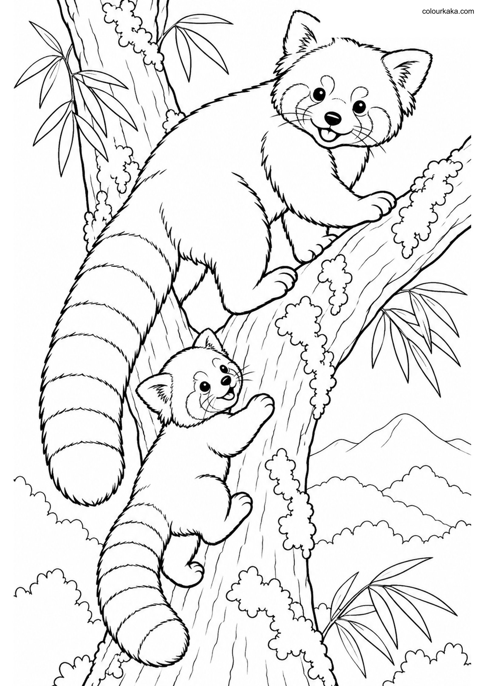 Red Panda Cub Colouring colouring page preview
