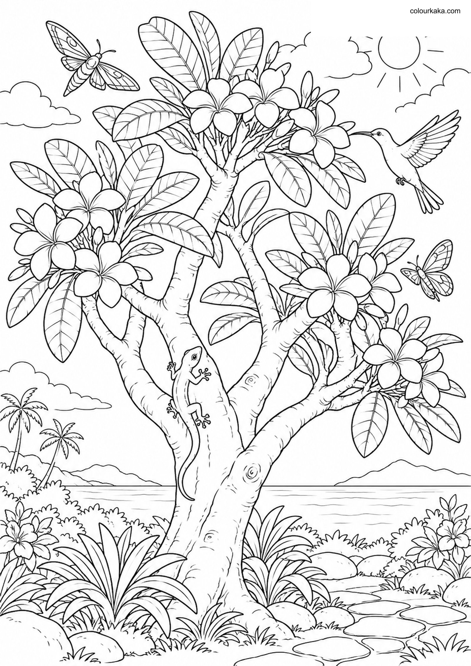 Frangipani Tree Colouring Page colouring page preview