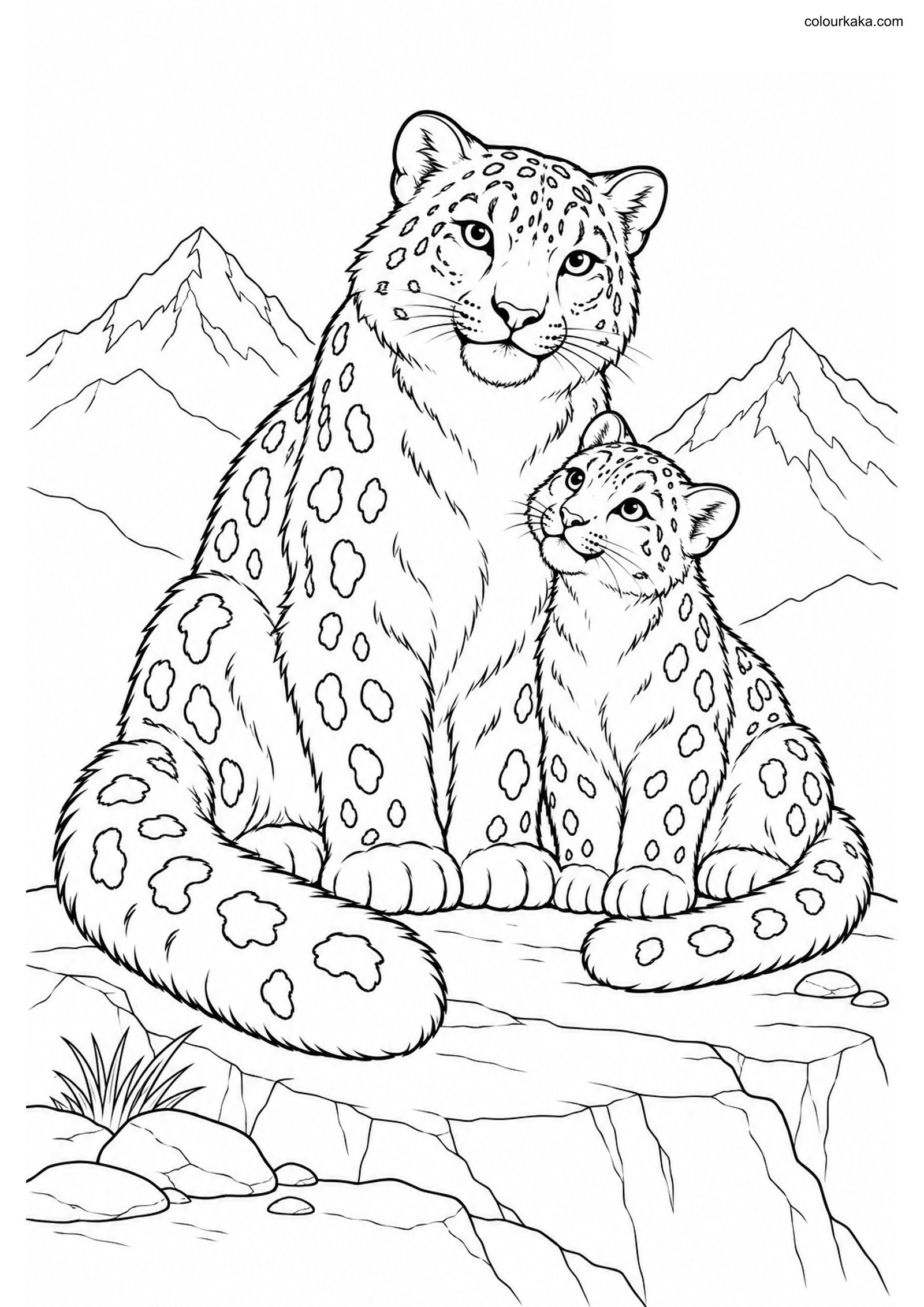 Snow Leopard Cub Colouring colouring page preview