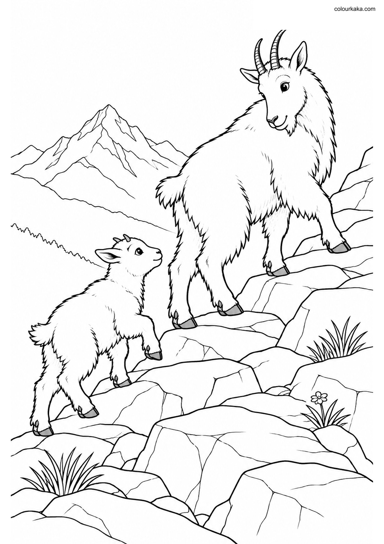 Mountain Goat Kid Colouring colouring page preview