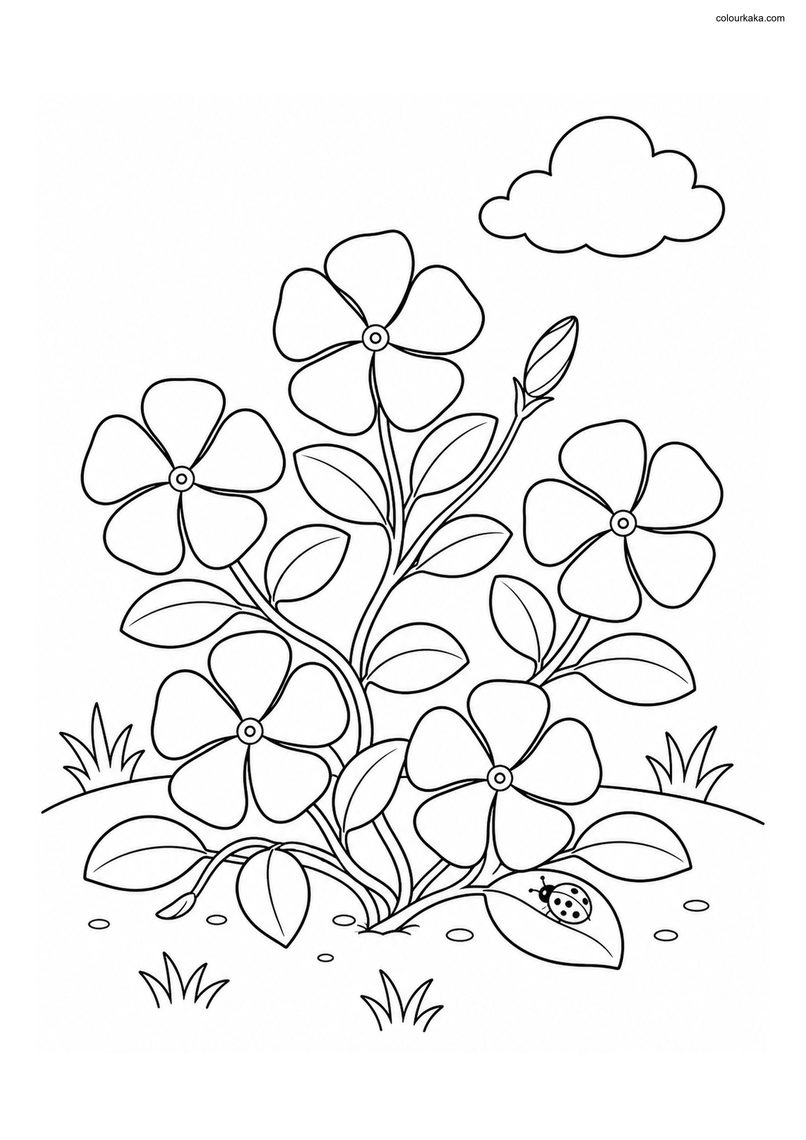 Periwinkle Flower Colouring colouring page preview