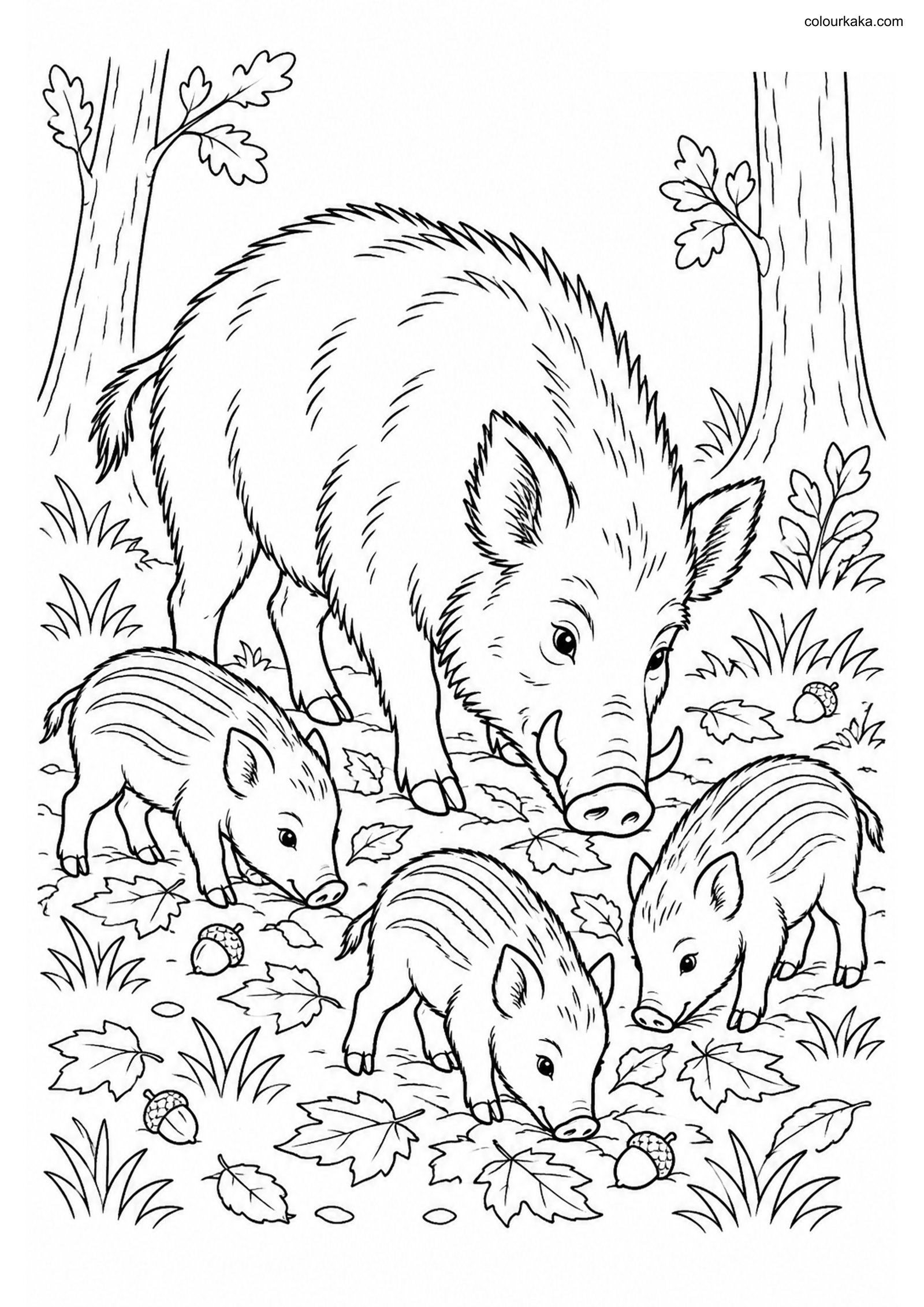 Wild Boar Piglets Colouring colouring page preview