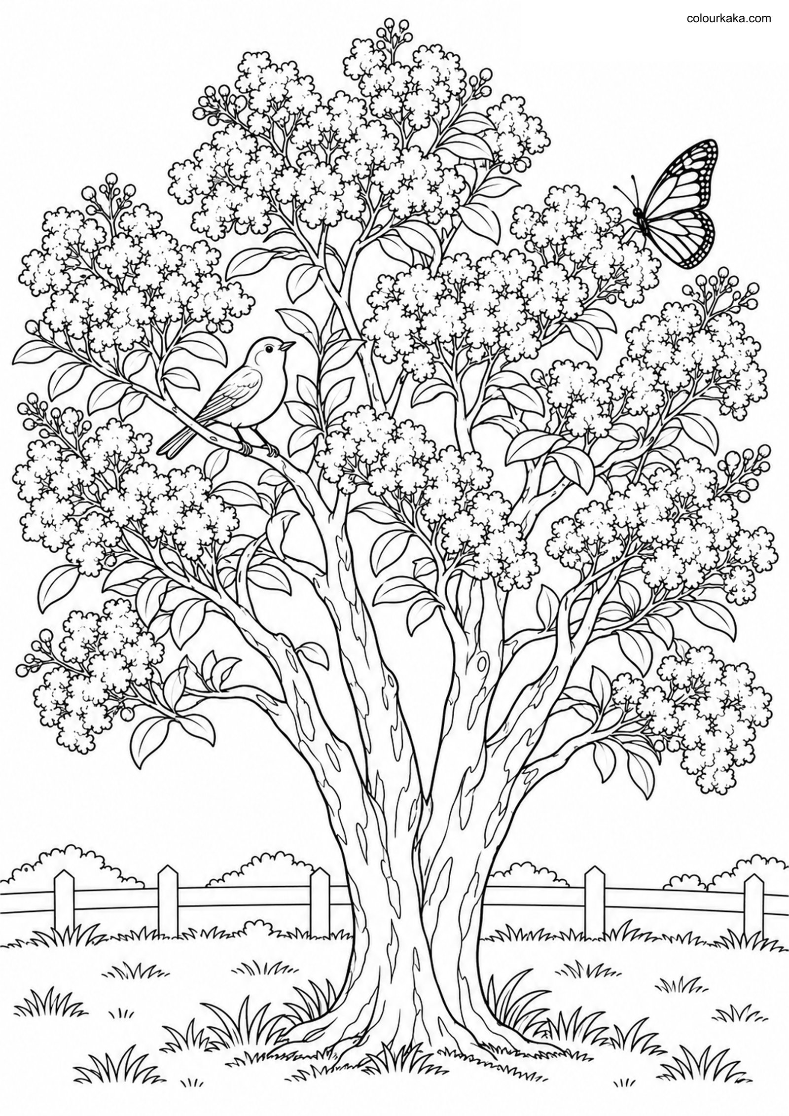 Crape Myrtle Tree Colouring colouring page preview