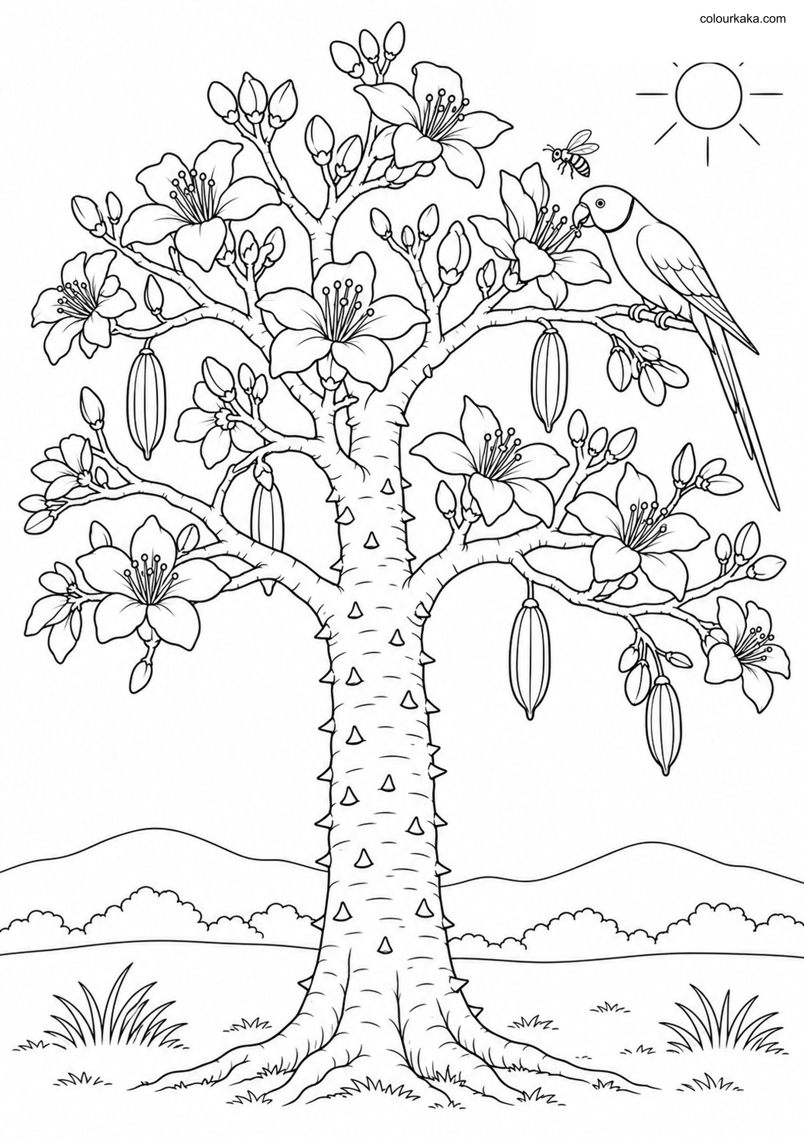 Silk Cotton Tree Colouring colouring page preview