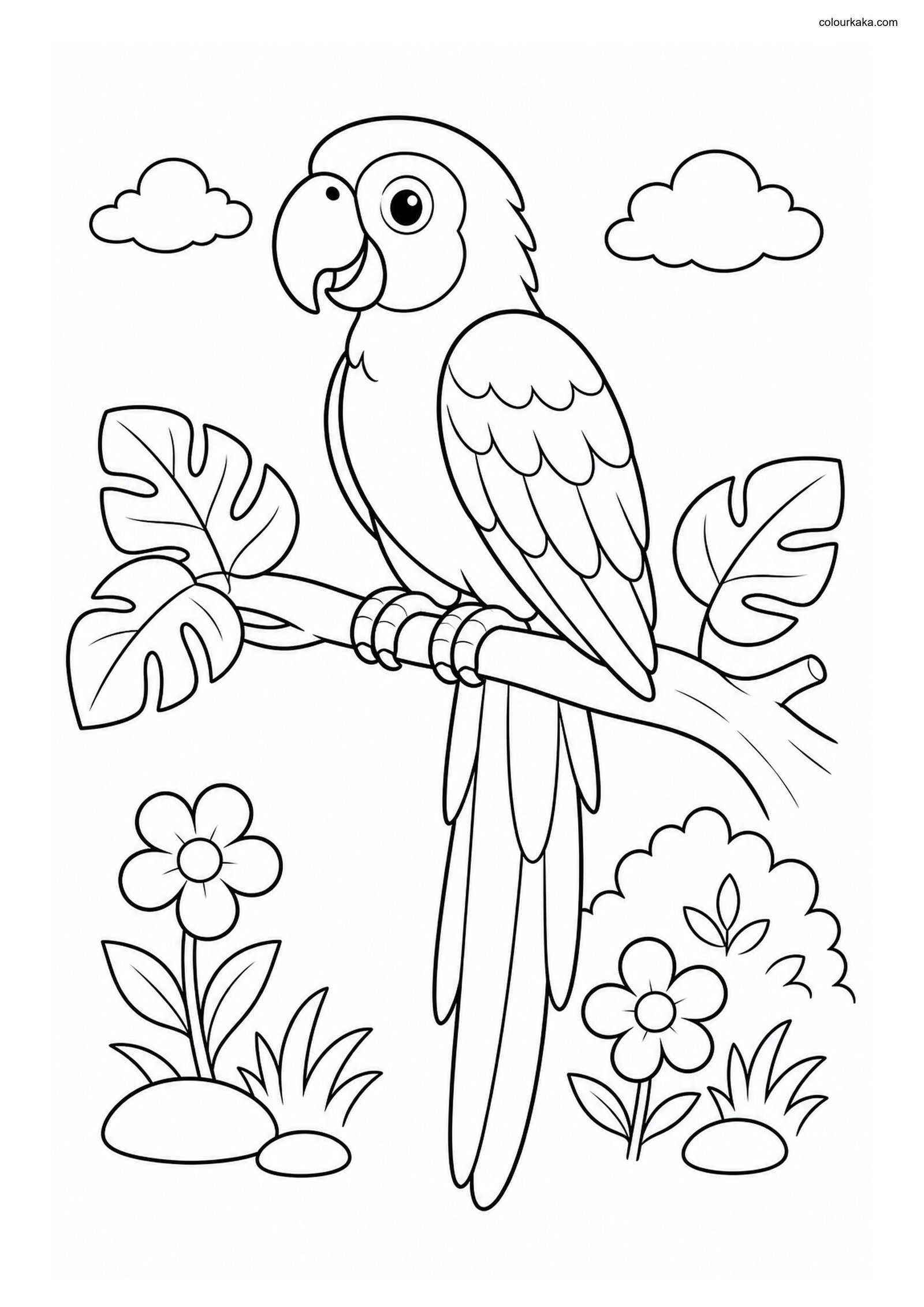 Cute Scarlet Macaw colouring page preview