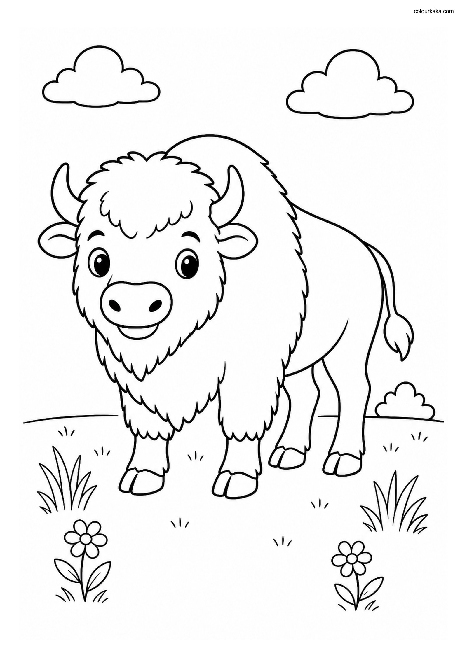 Cute American Bison colouring page preview