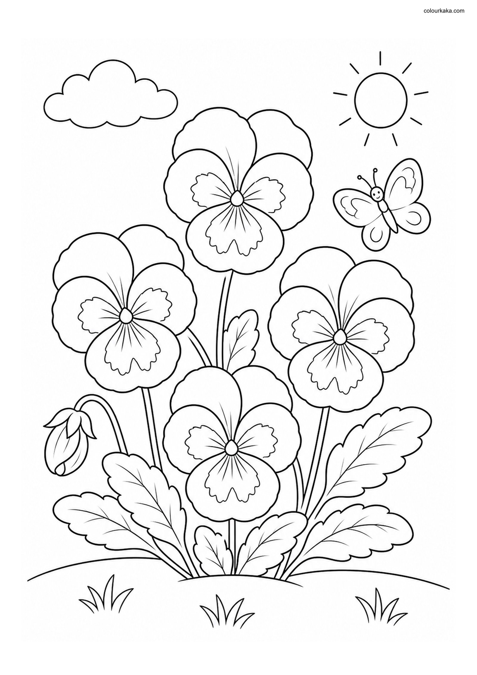 Pansy Garden Colouring Page colouring page preview