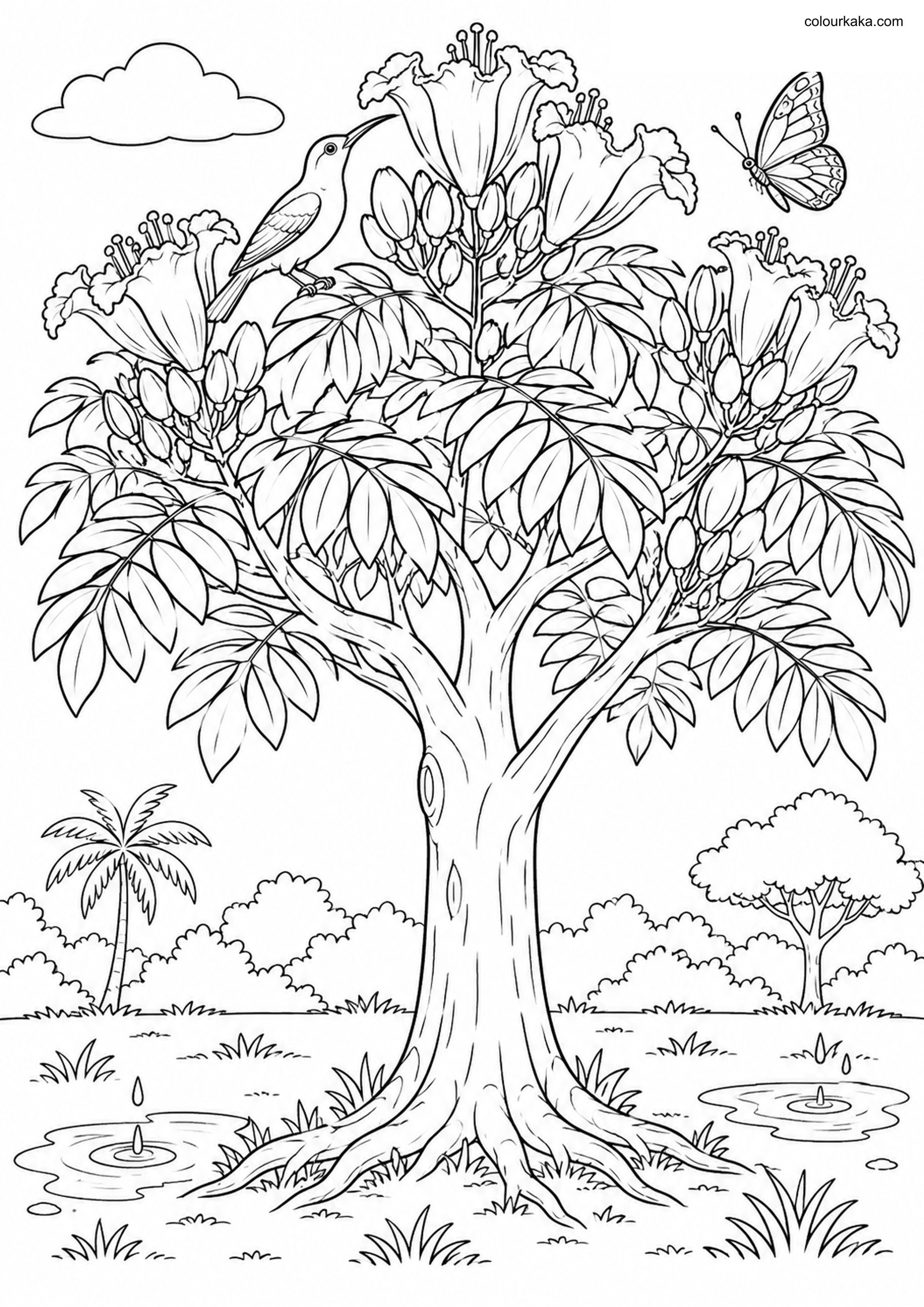 African Tulip Tree Colouring colouring page preview