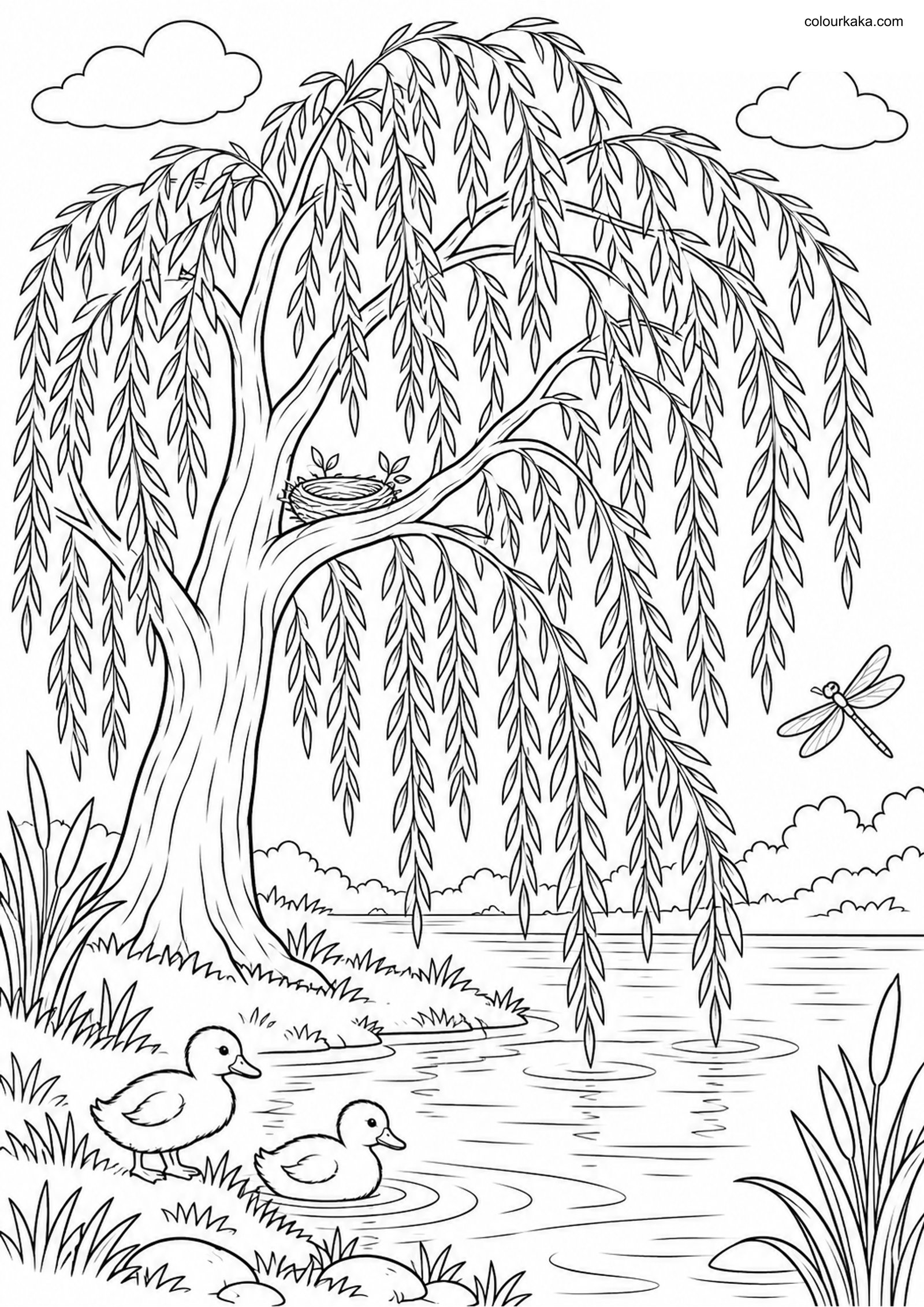 Weeping Willow Colouring Page colouring page preview