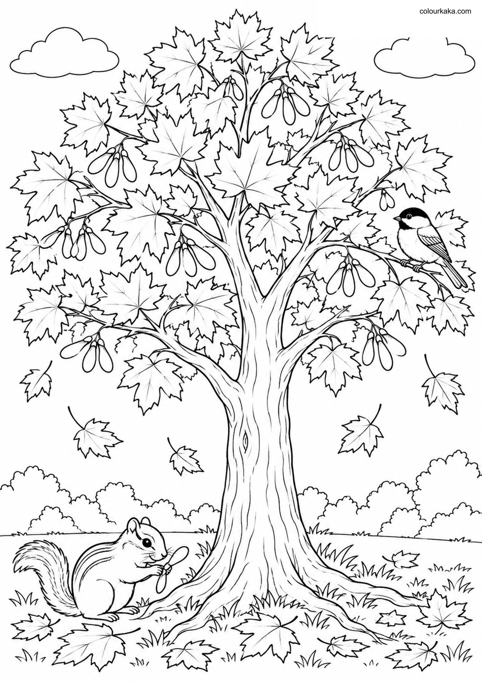 Maple Tree Colouring Page colouring page preview