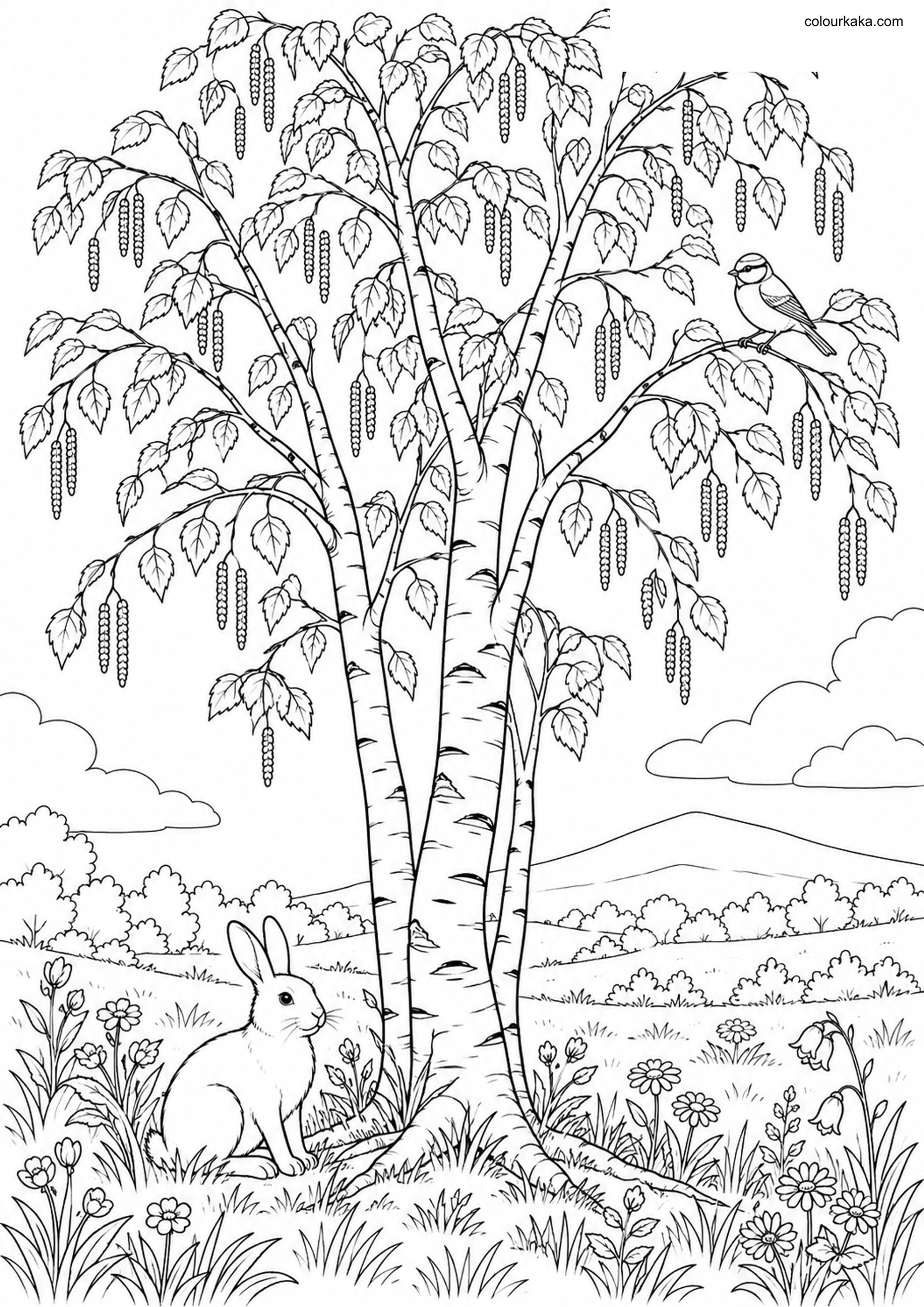 Silver Birch Tree Colouring colouring page preview