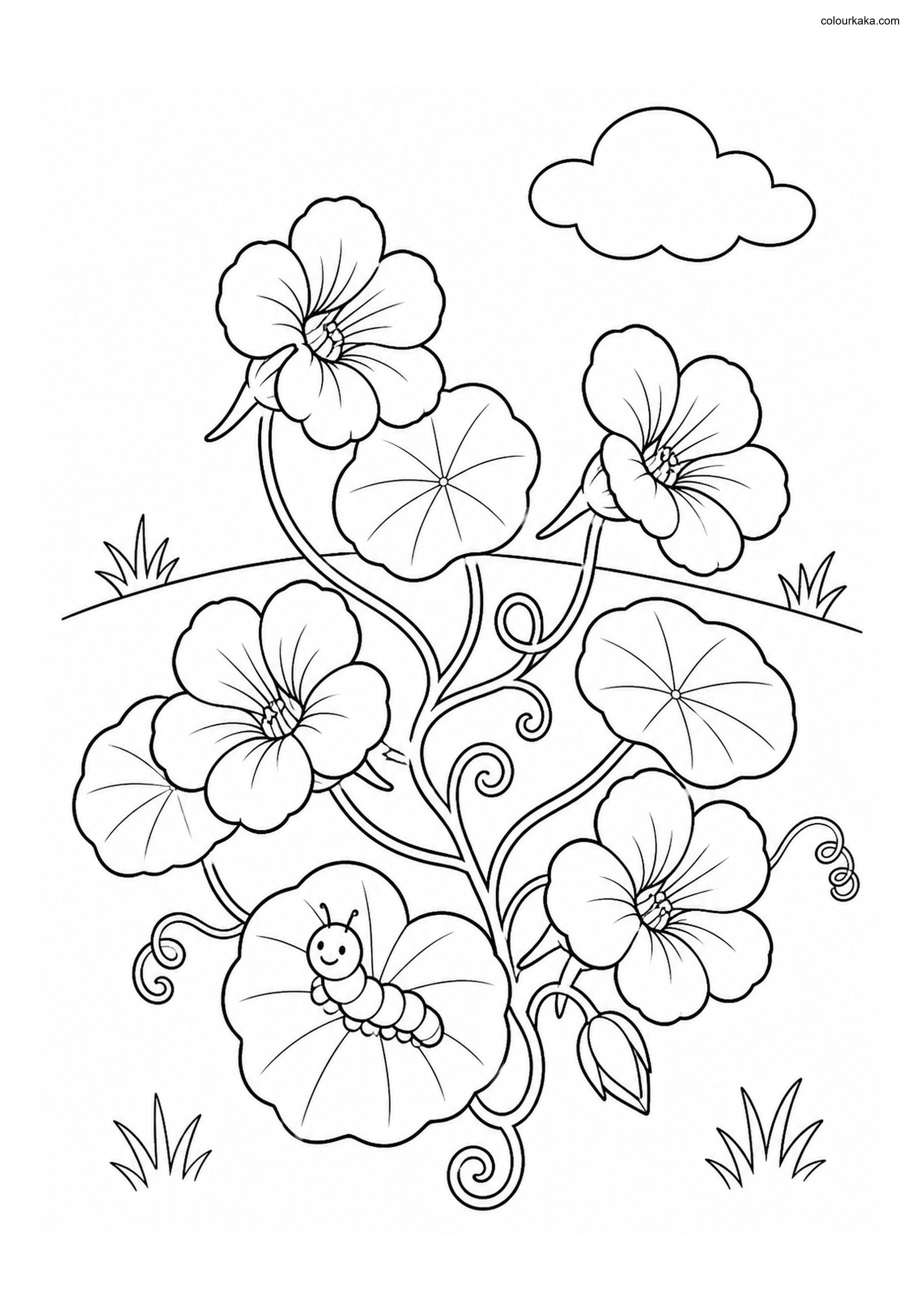 Nasturtium Garden Colouring colouring page preview