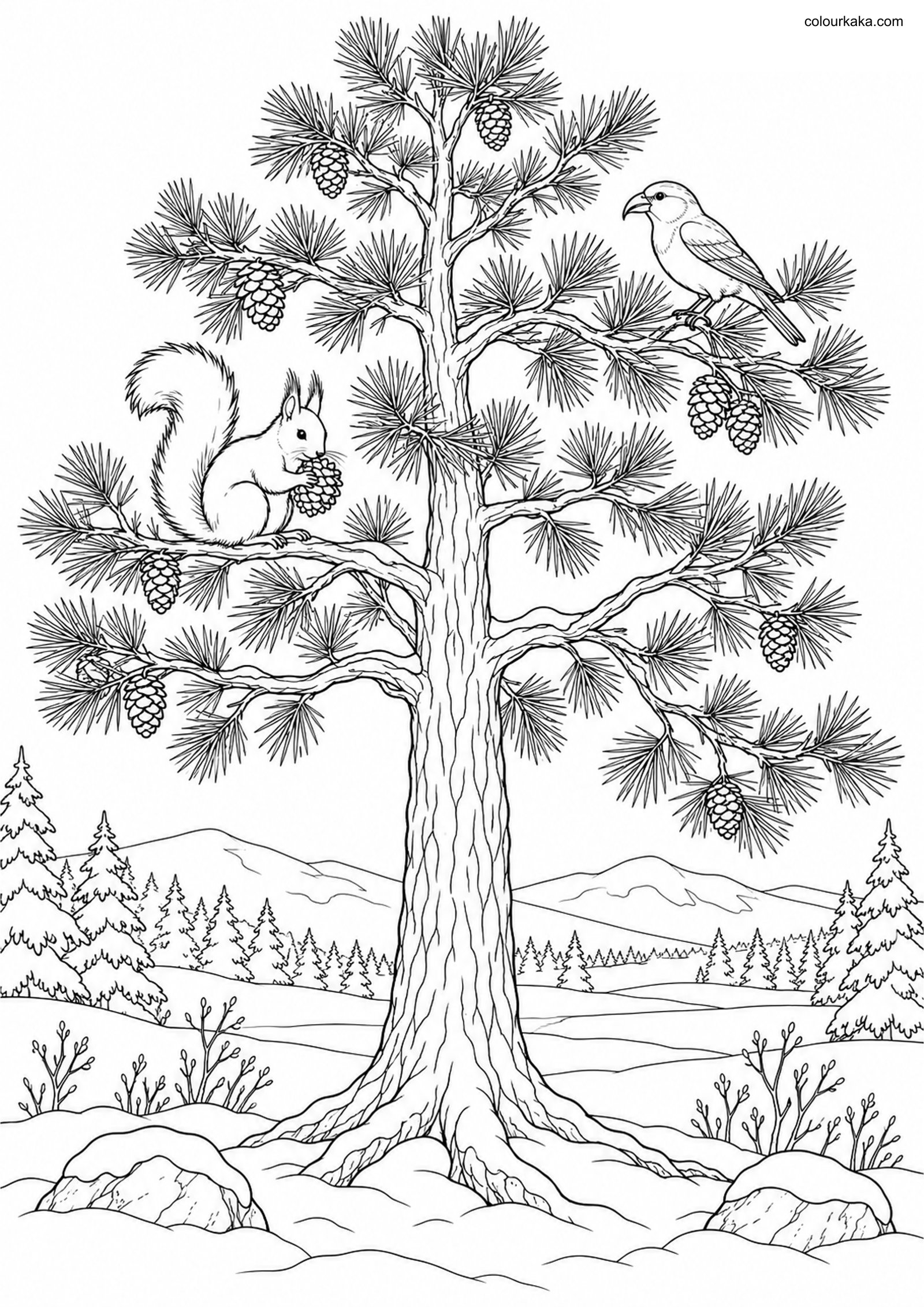 Pine Tree Colouring Page colouring page preview