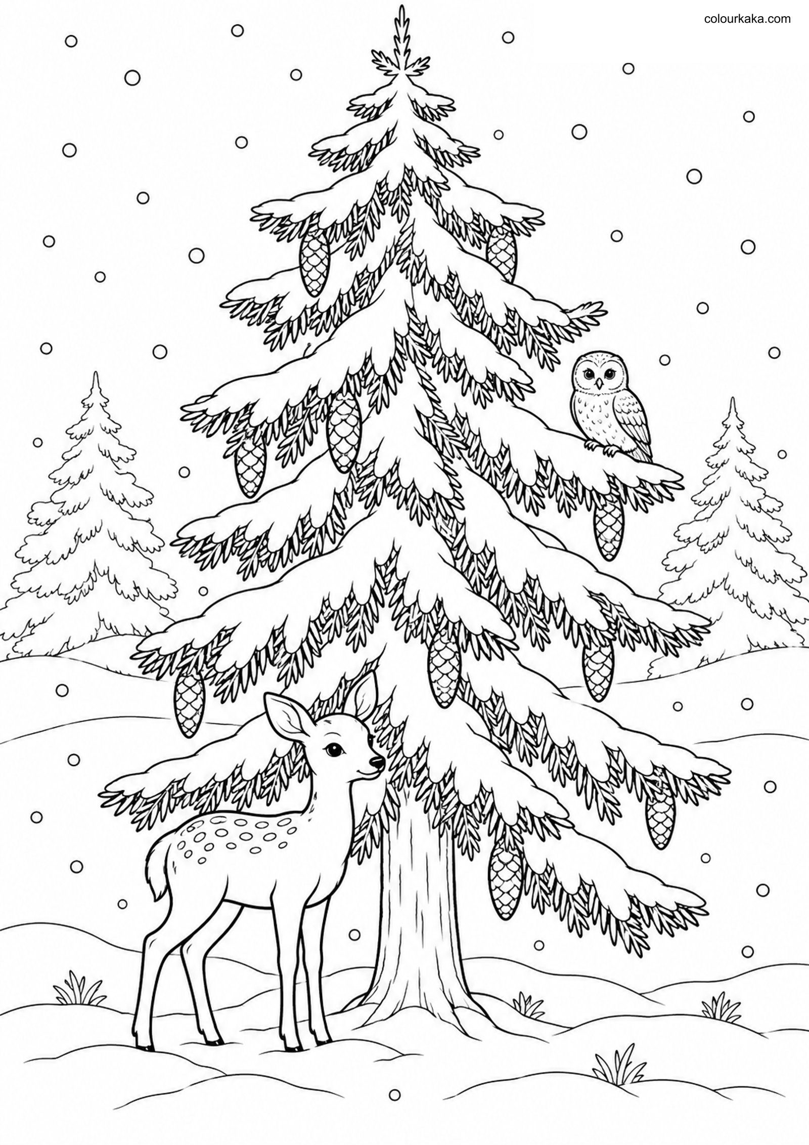 Spruce Tree Colouring Page colouring page preview