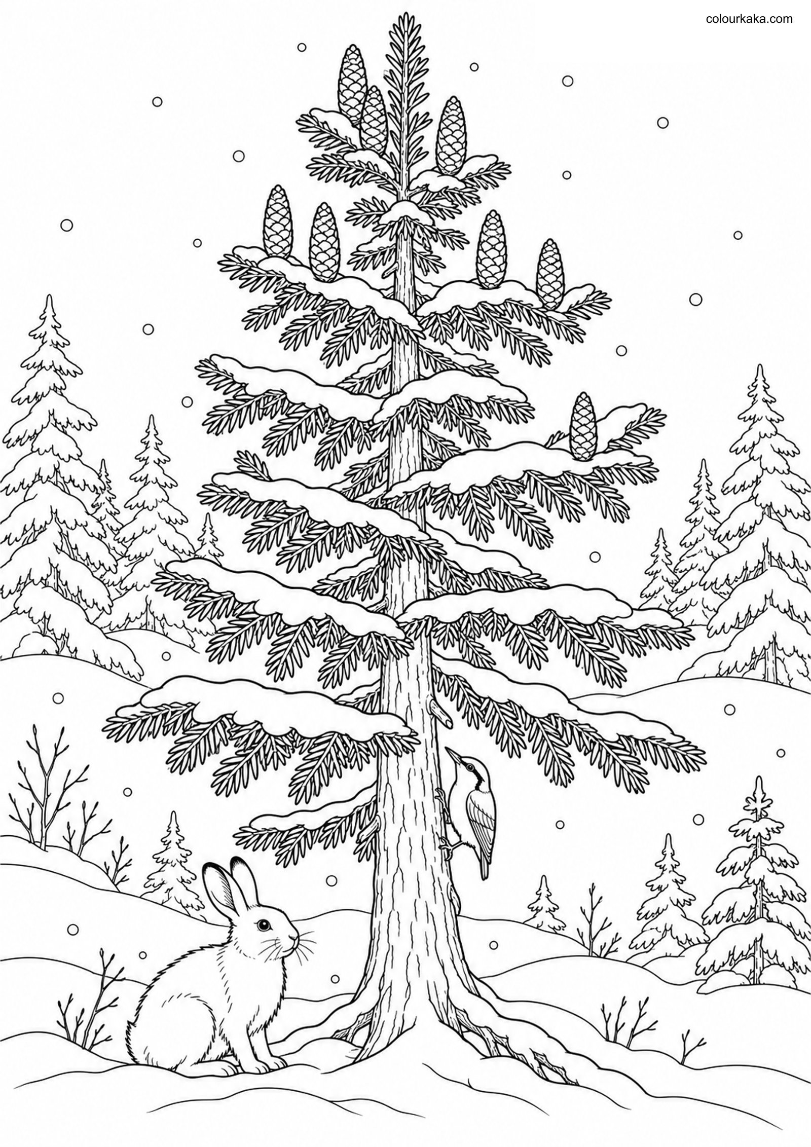 Fir Tree Colouring Page colouring page preview