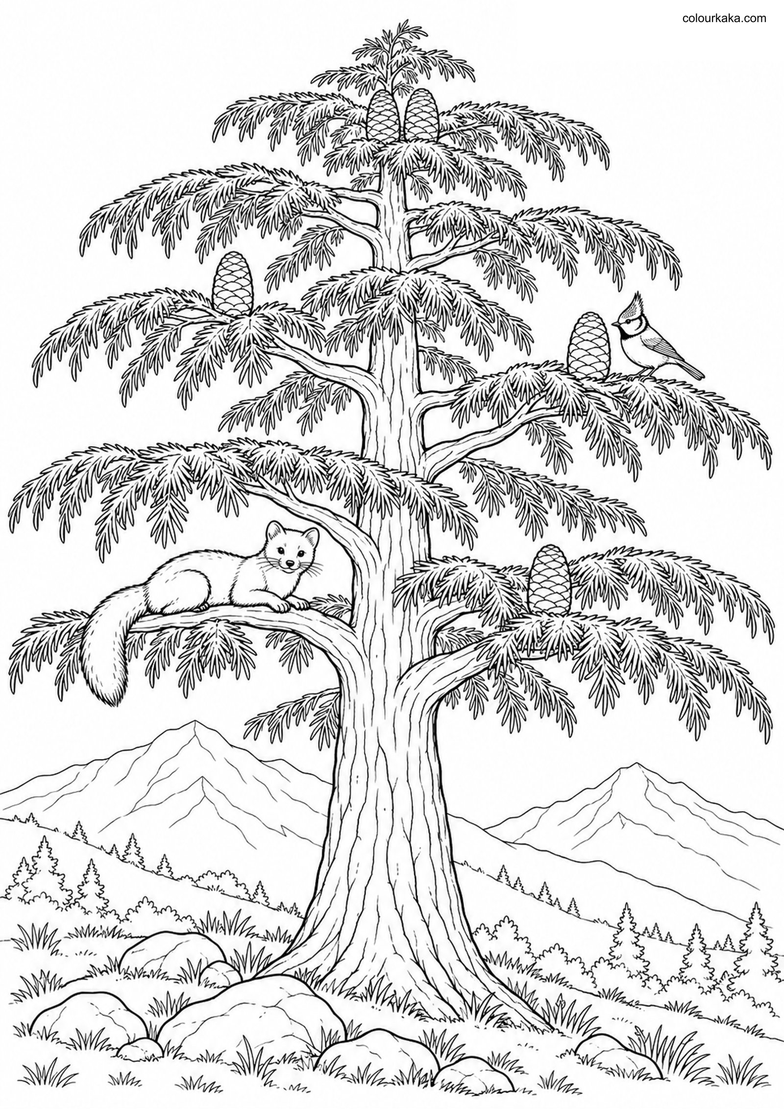 Cedar Tree Colouring Page colouring page preview