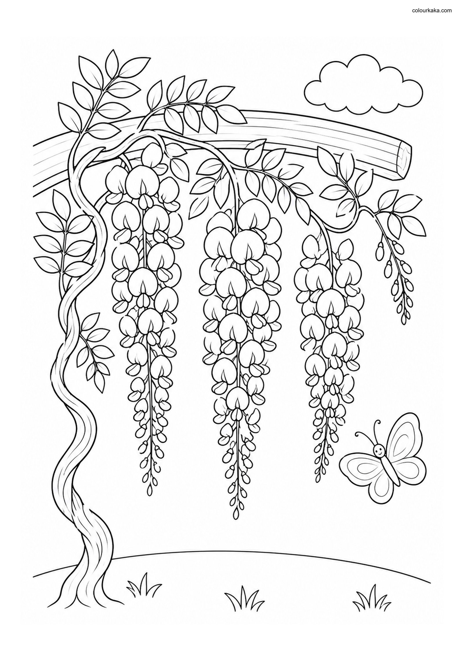Wisteria Garden Colouring Page colouring page preview