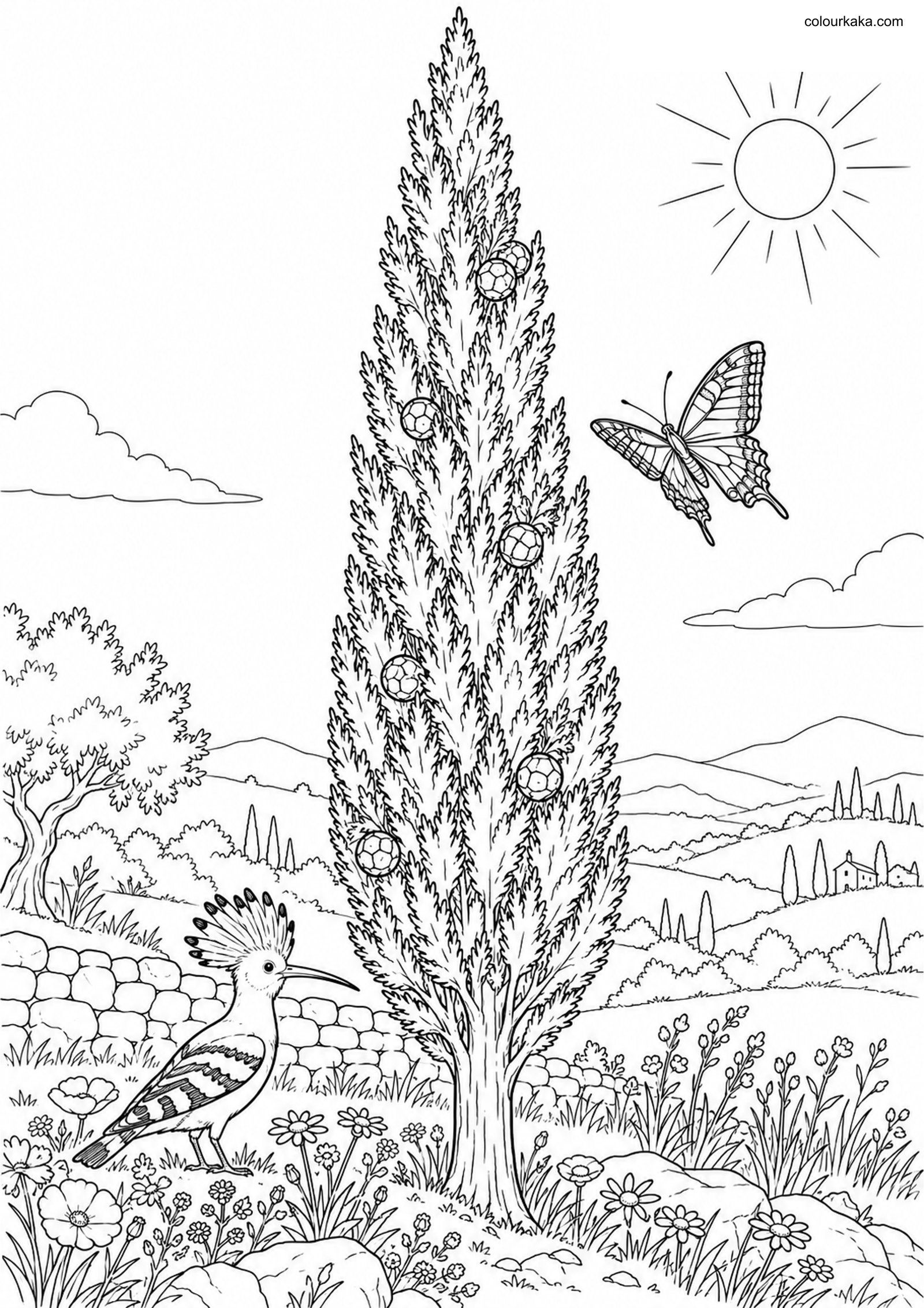 Cypress Tree Colouring Page colouring page preview