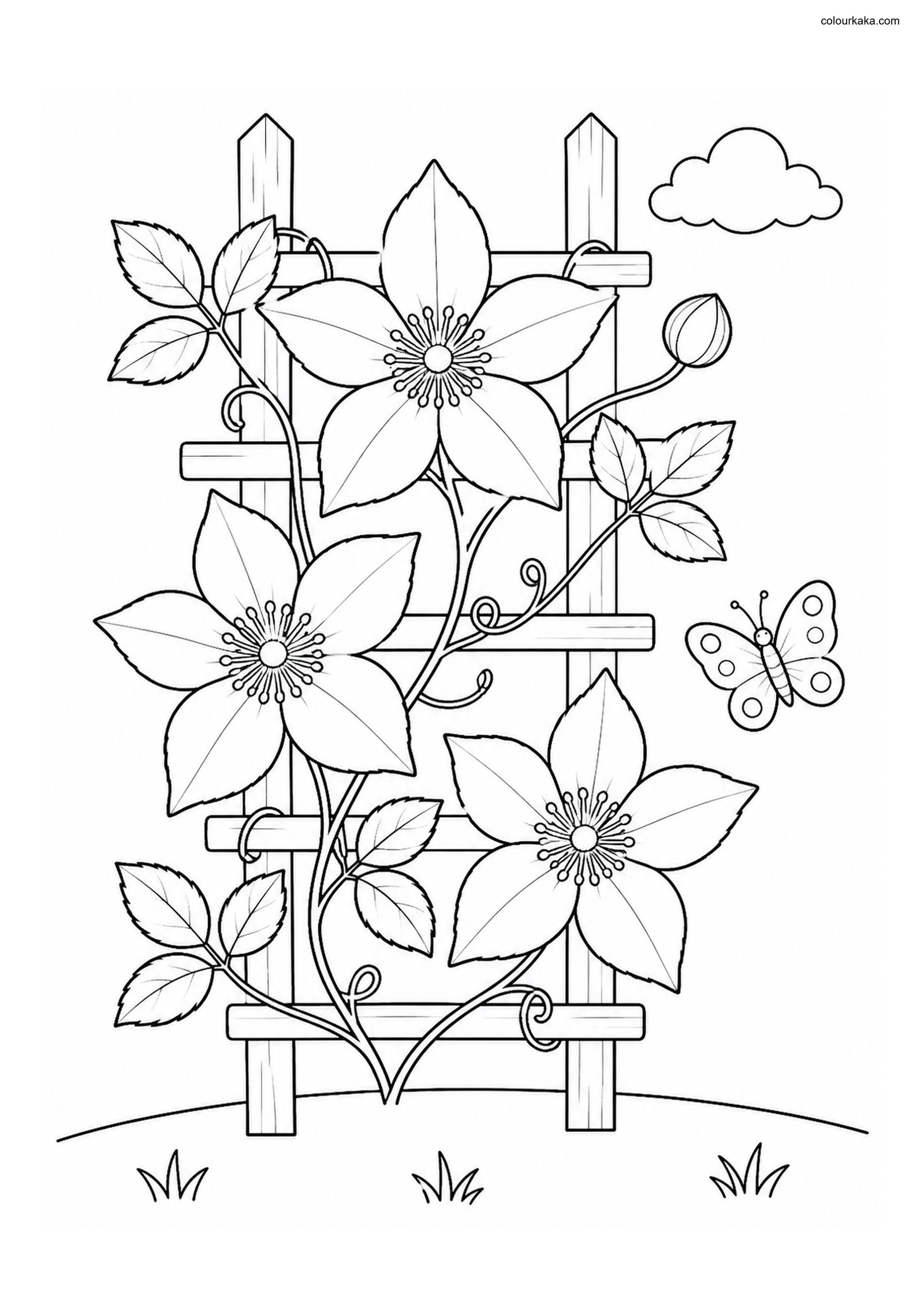 Clematis Trellis Colouring Page colouring page preview