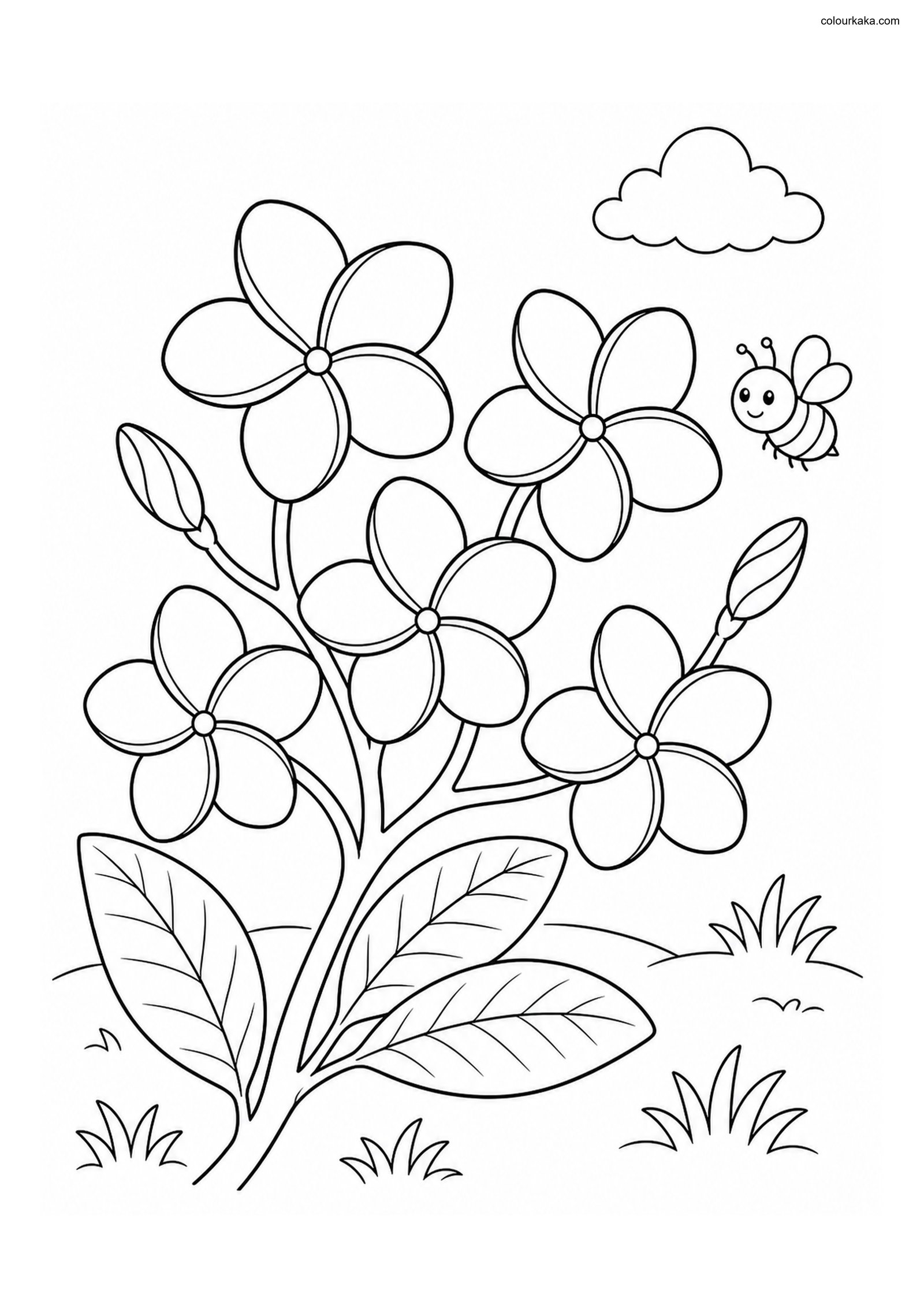 Plumeria Flower Colouring Page colouring page preview