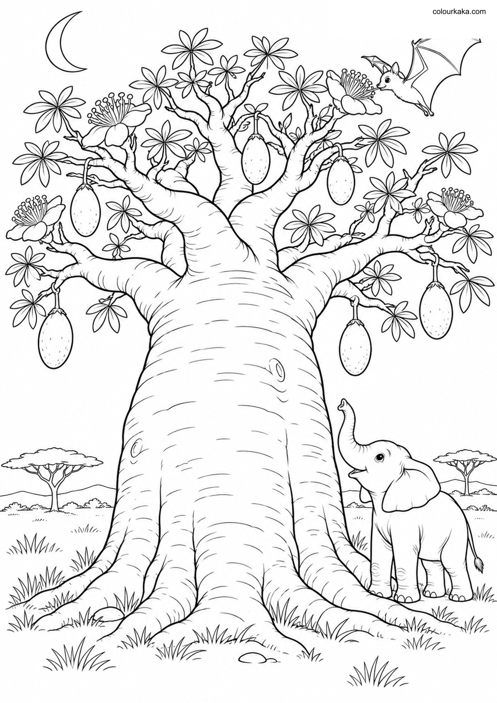 Baobab Tree Colouring Page colouring page preview