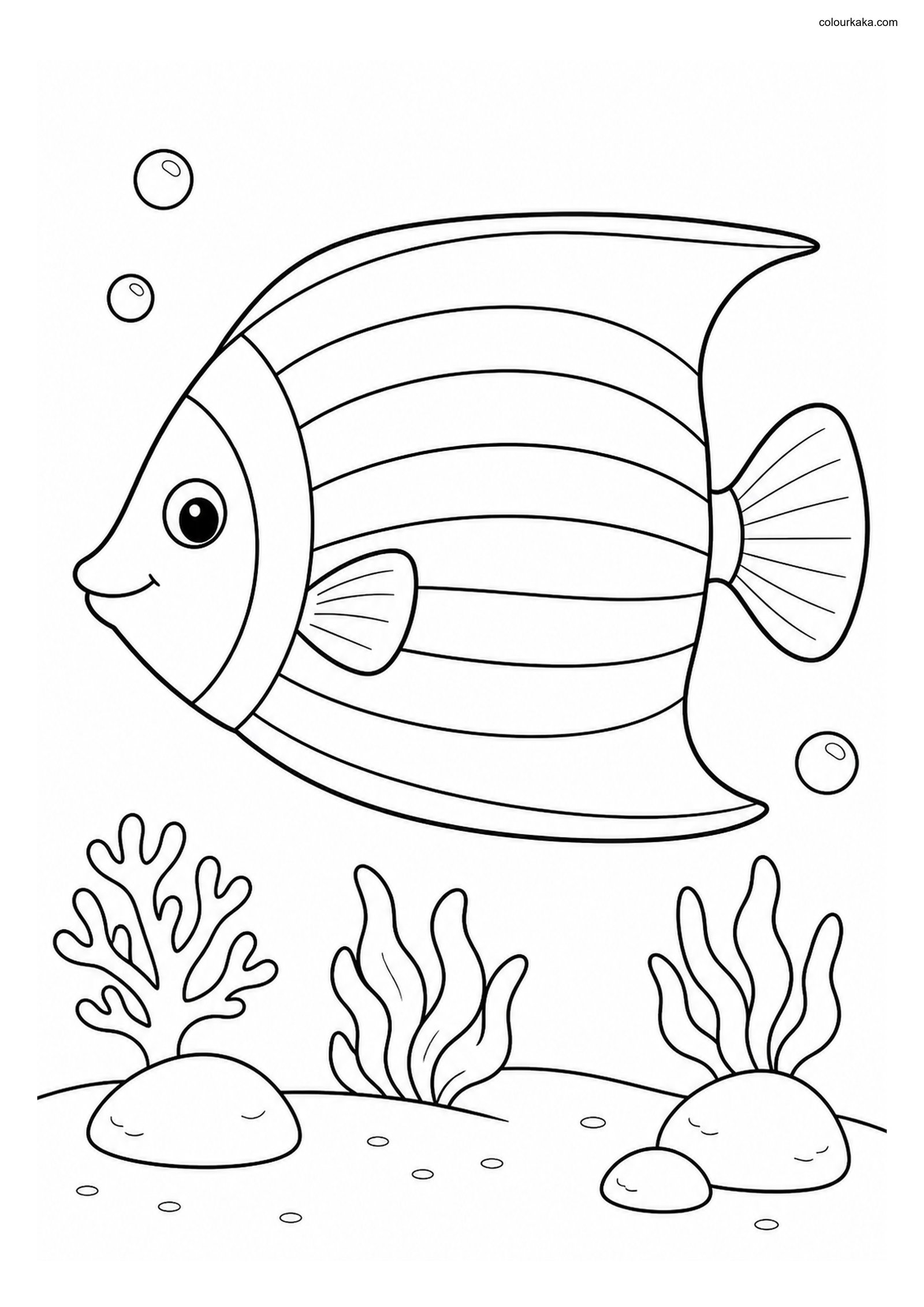 Emperor Angelfish Colouring Page colouring page preview