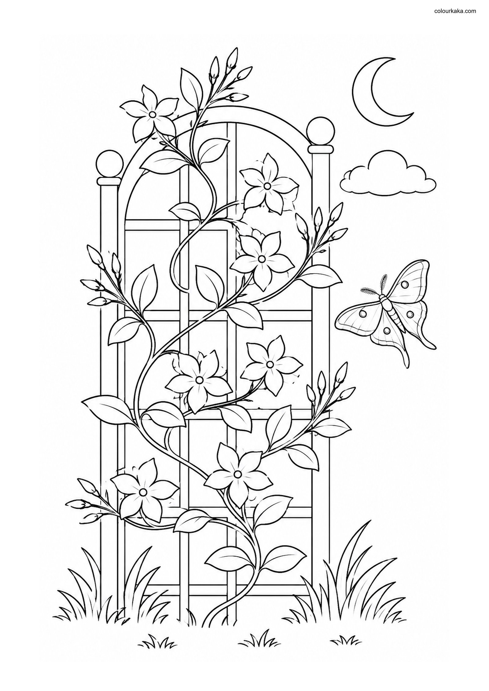 Jasmine Blossom Colouring Page colouring page preview